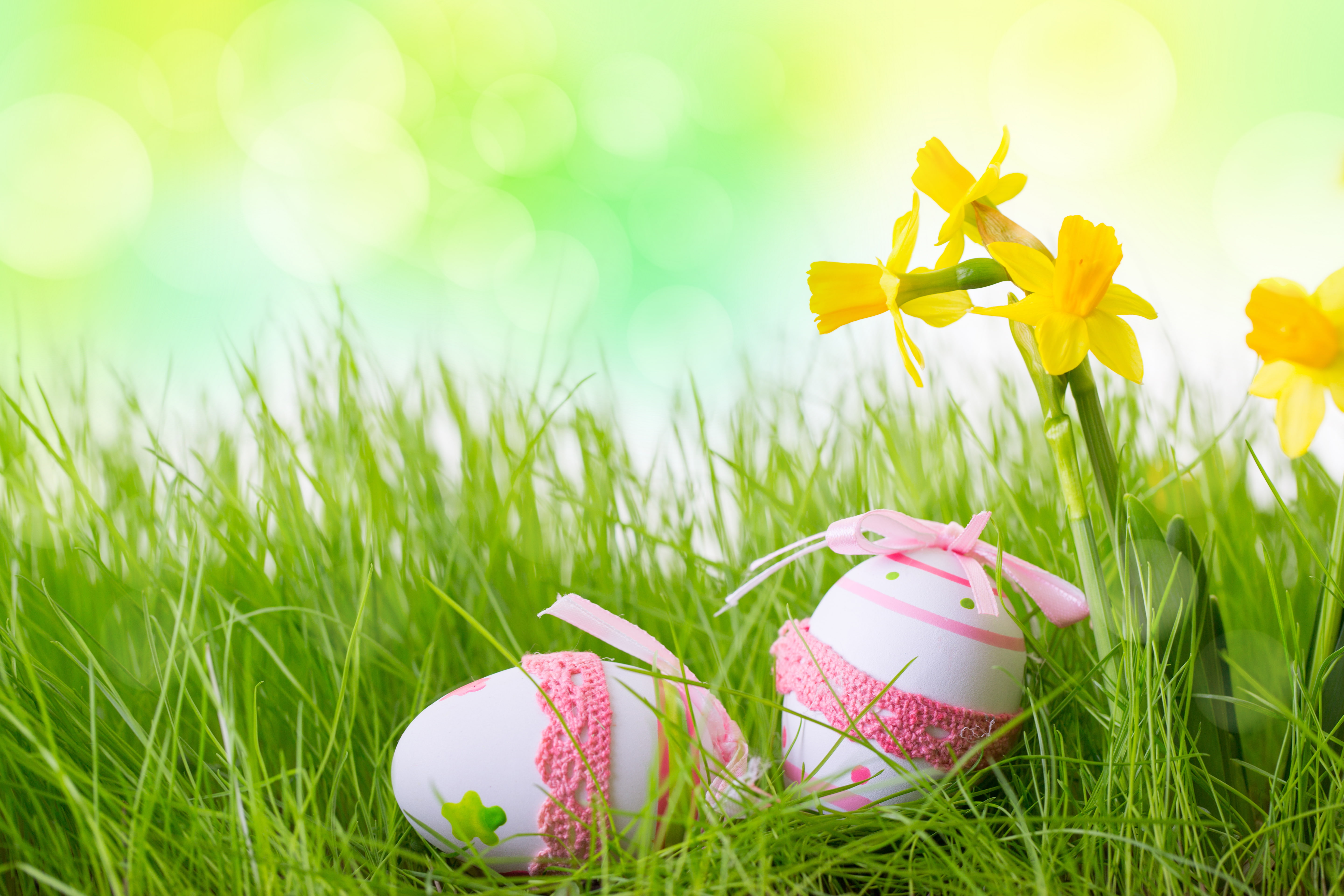 eggs, Easter, Easter eggs, happy easter