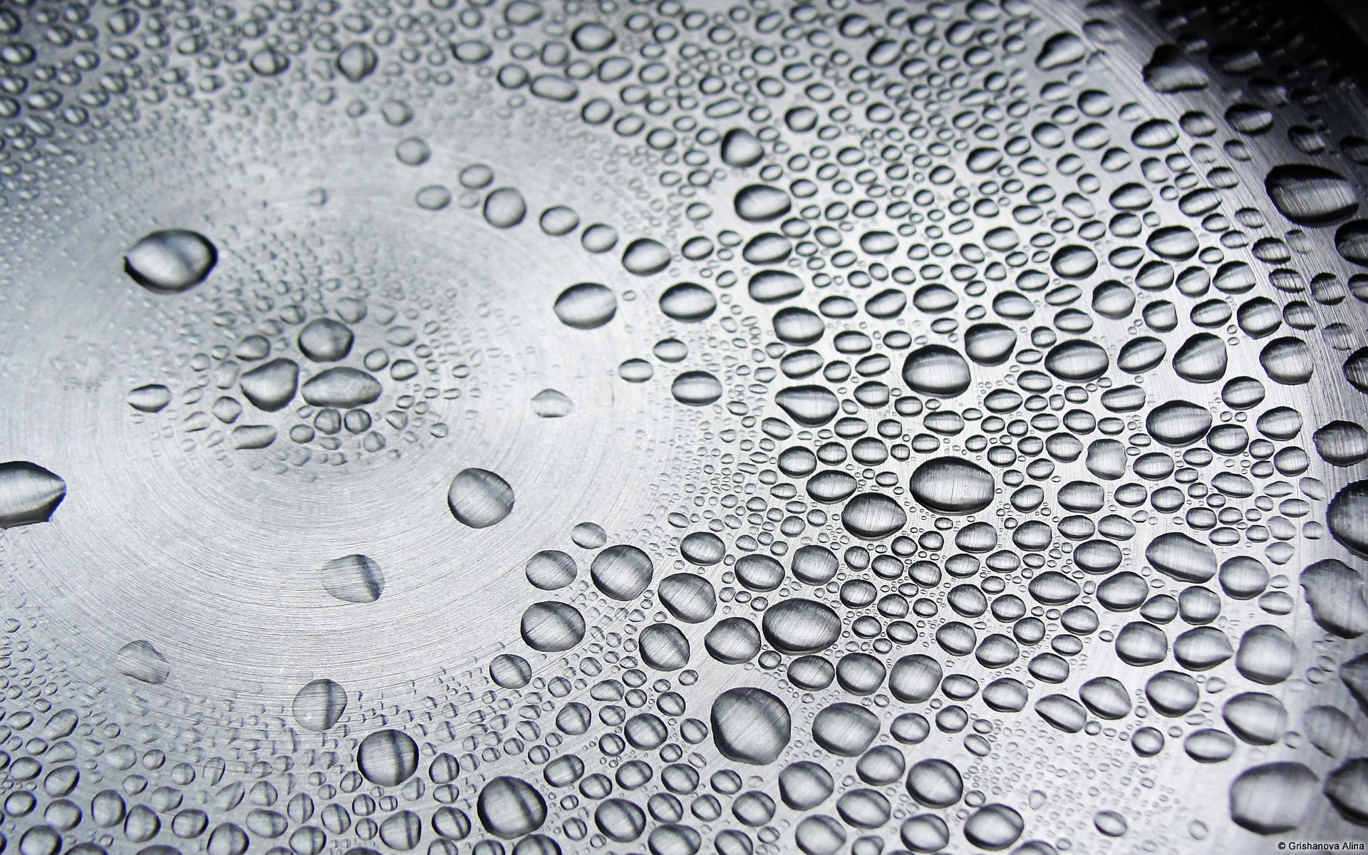 Droplets on Silver Surface-Windows 10 HD Wallpaper, grayscale photography of water dew