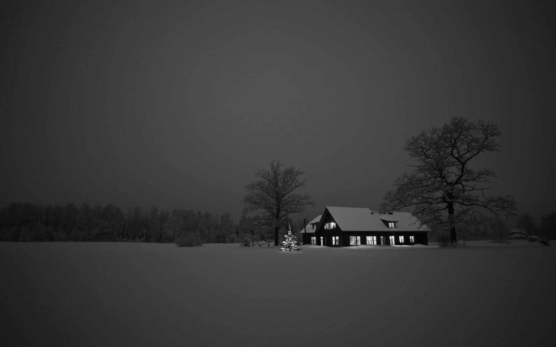 black and gray house, snow, dark, brown, tree, architecture, winter