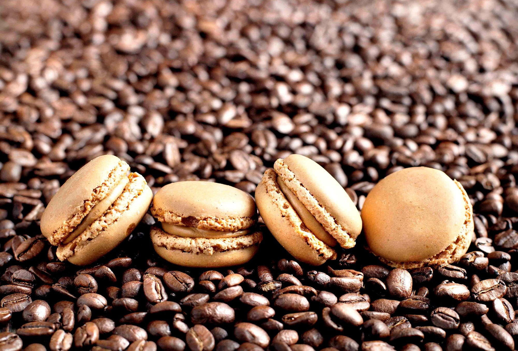 macaron