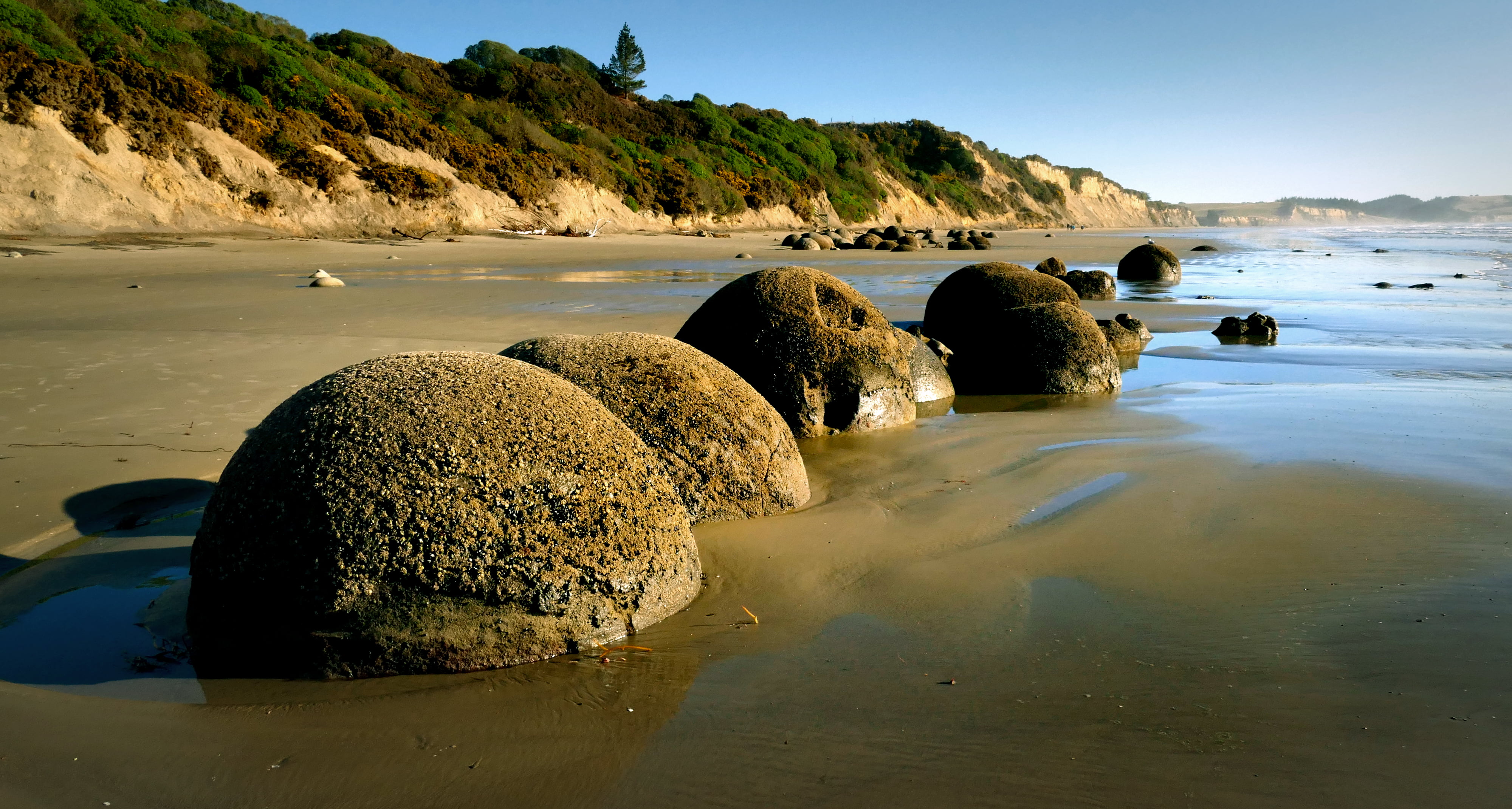 round brown rocks in the sea shore surrounded by mountain, otago, otago