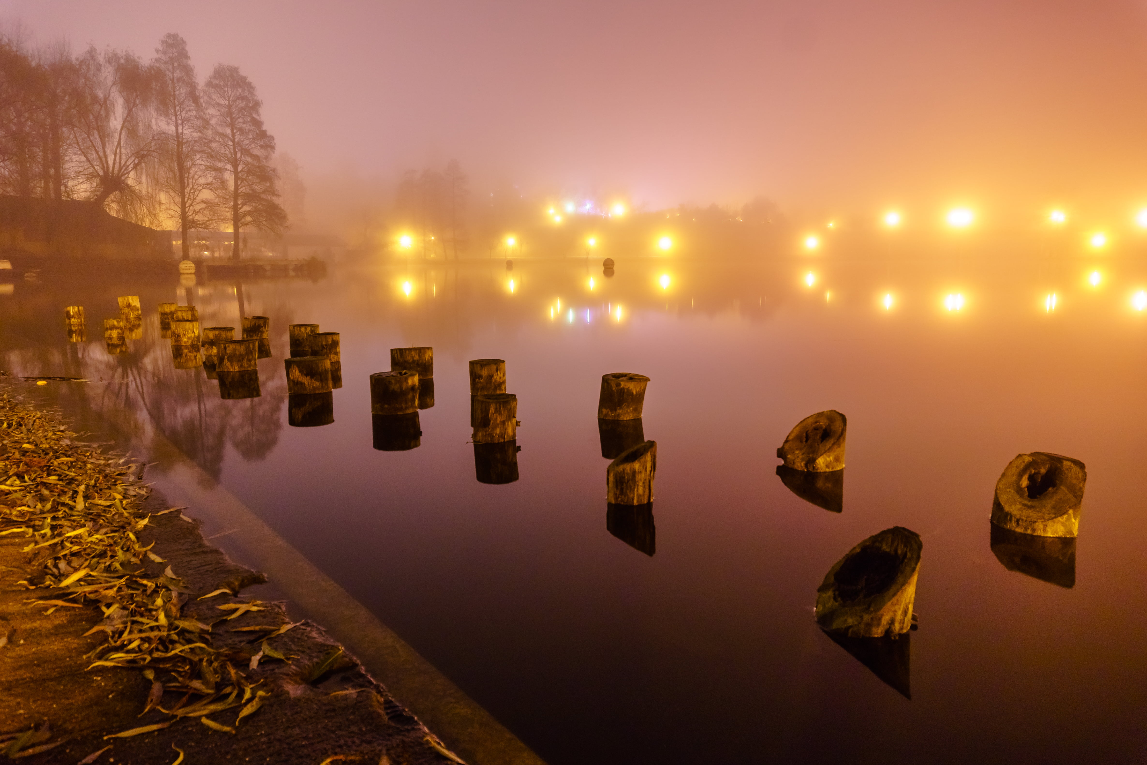 brown woods on water during nightime, Lights, fog, Carl  Zeiss  Jena