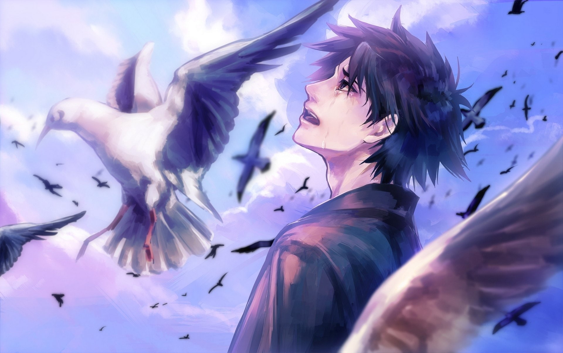 anime, bird, boy, clouds, cry, sky