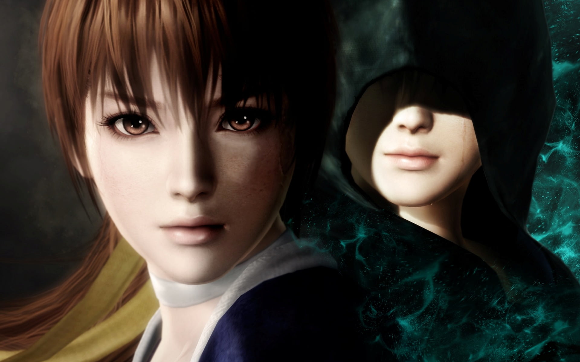 Dead Or Alive 5: Last Round 2015, brown haired female illustration