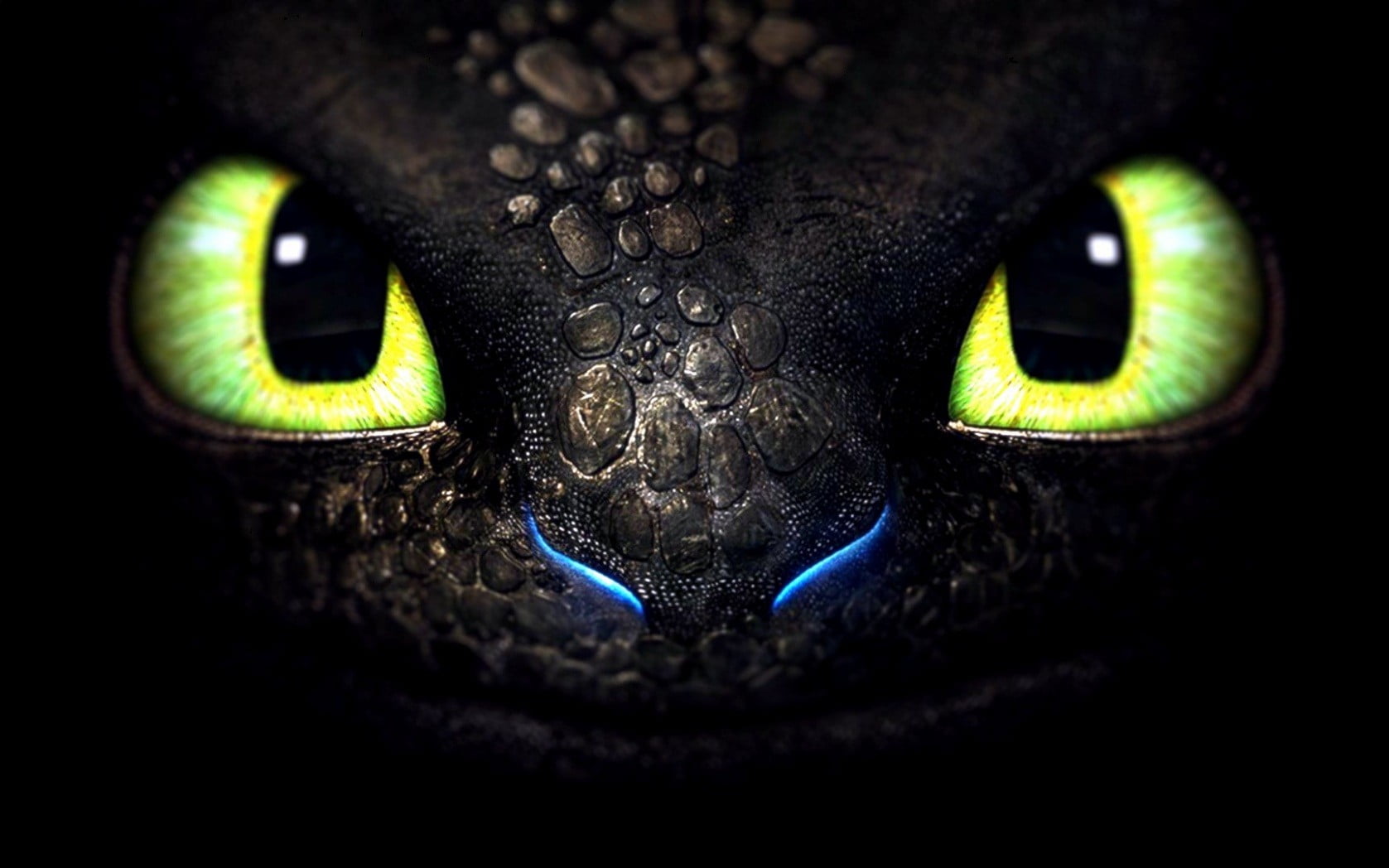 How to train your dragon Toothless digital wallpaper, animal