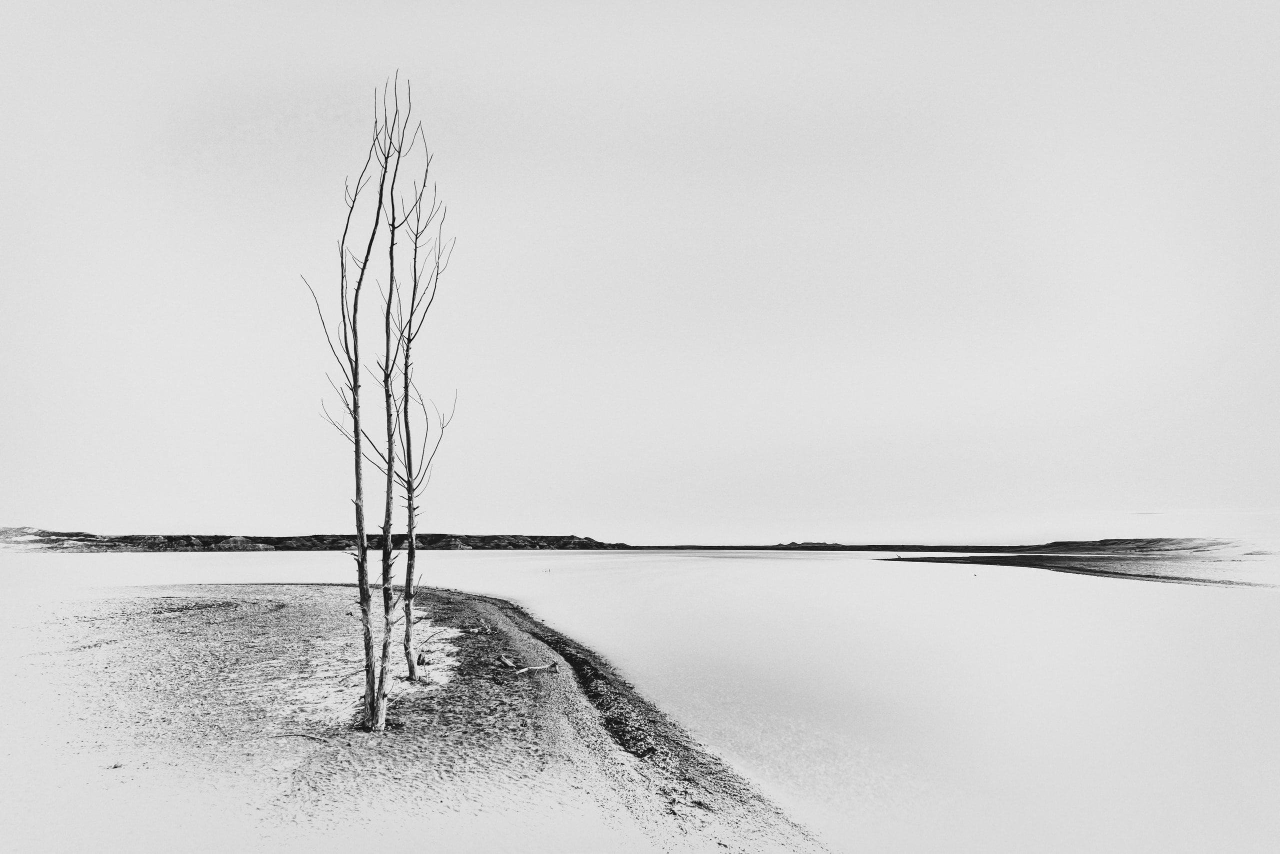 nature, river, background, tree