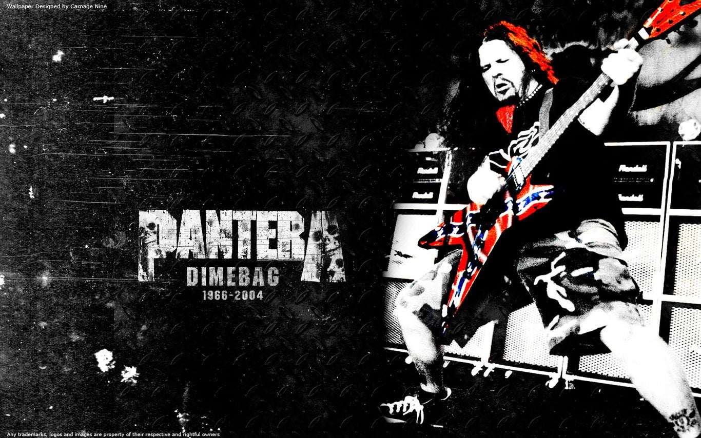 Band (Music), Pantera, Dimebag Darrell, Guitar, Guitarist, Heavy Metal