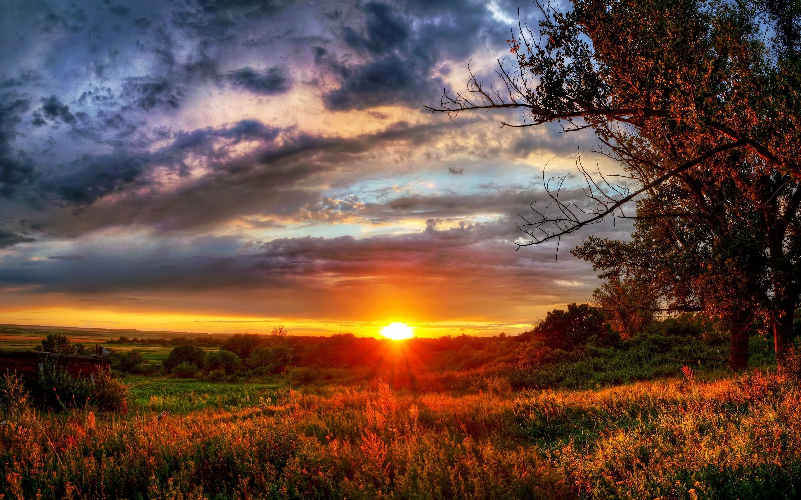 sunset, evening, clouds, trees, Landscape