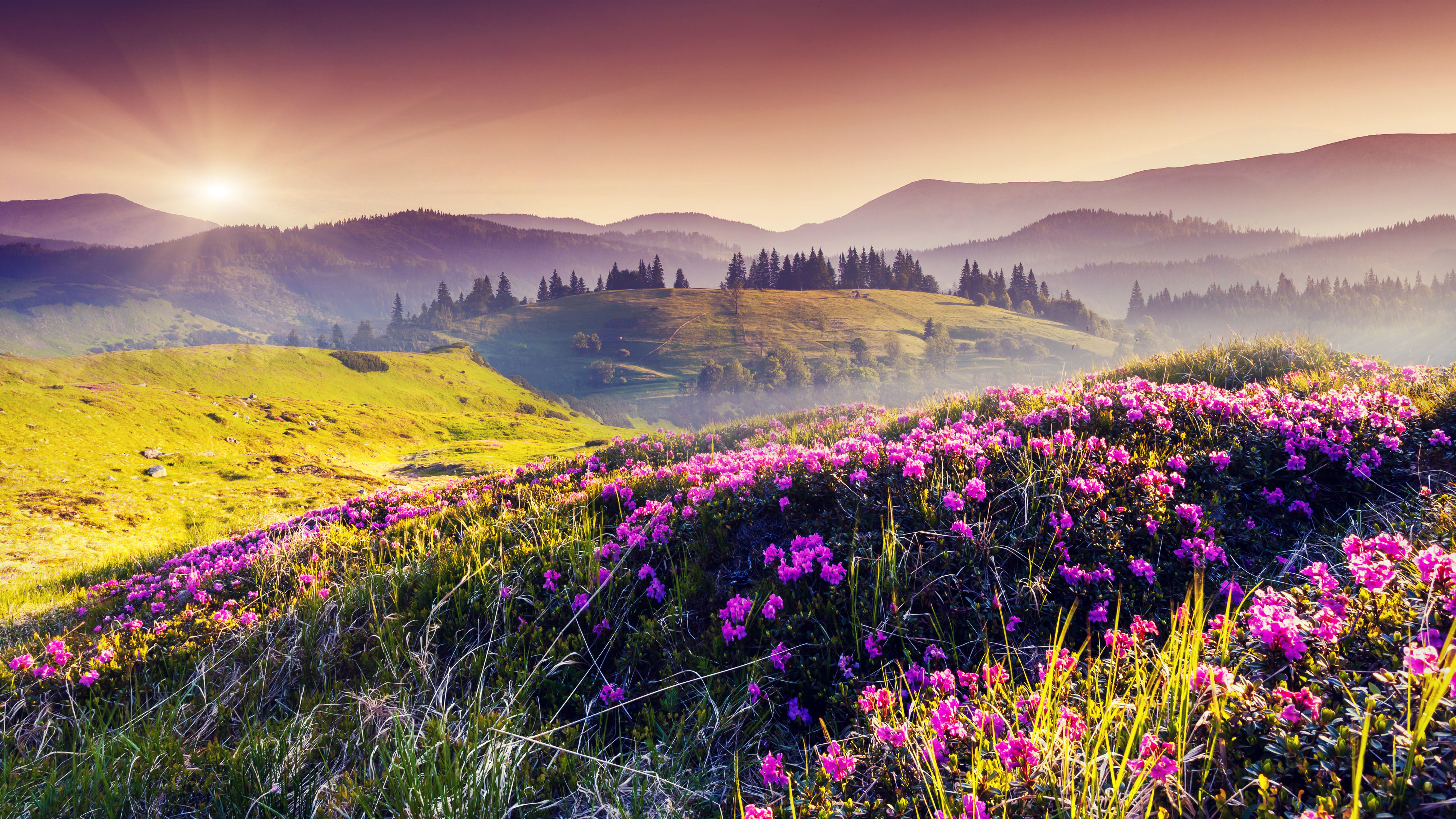 India Valley Of Flowers National Park In West Himalaya In State Utharanthand Meadow Of Endemic Alpine Flowers Landscape Nature 5200×2925