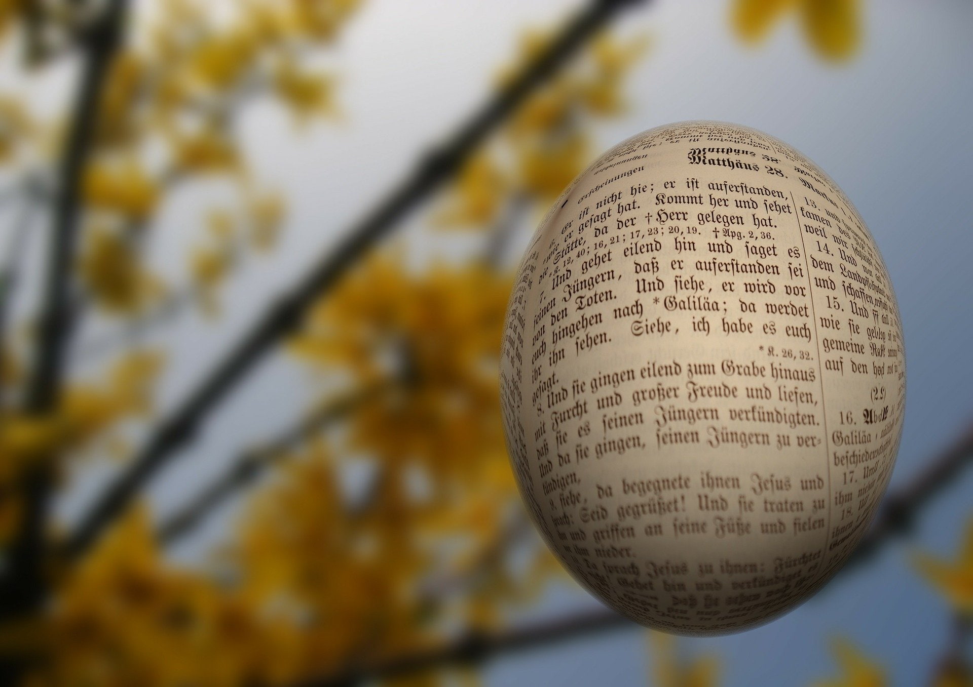 Holiday, Easter, Easter Egg, Scripture
