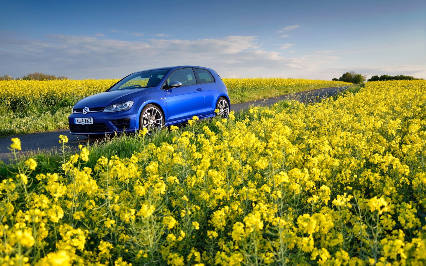 blue Volkswagen Golf 3-door hatchback, golf r, mk7, flowers, field