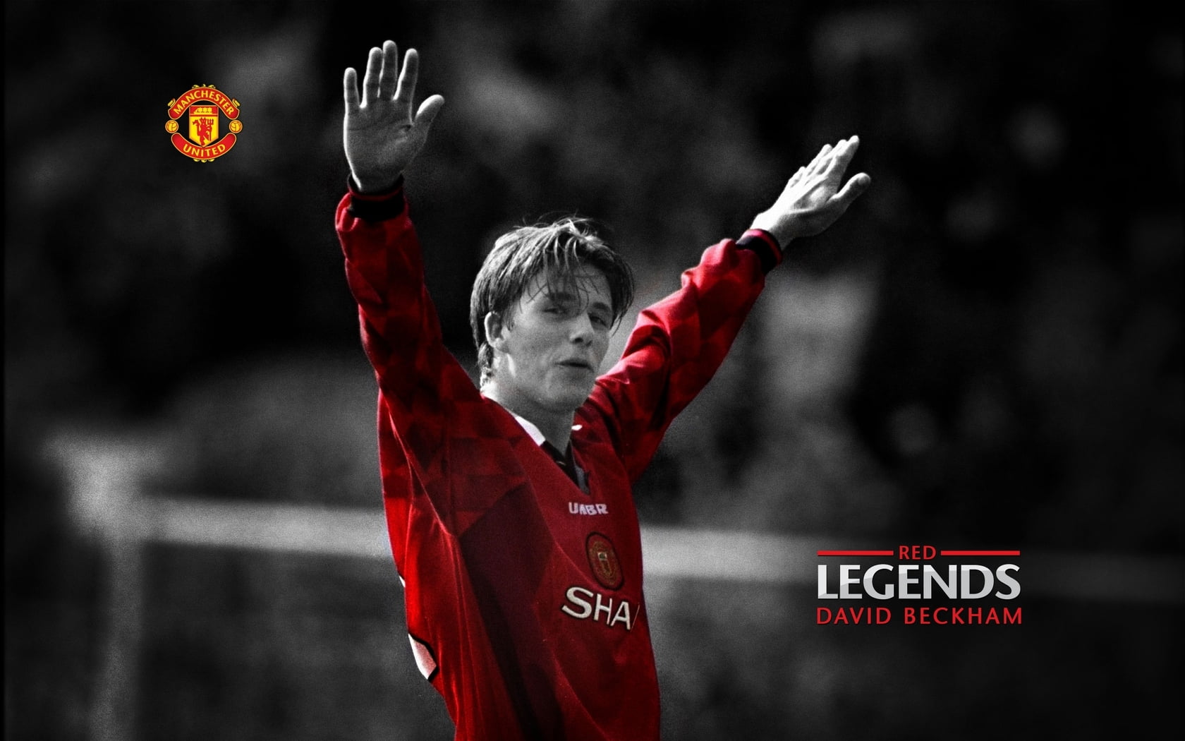 David Robert Joseph Beckham, Red Legends David Beckham wallpaper