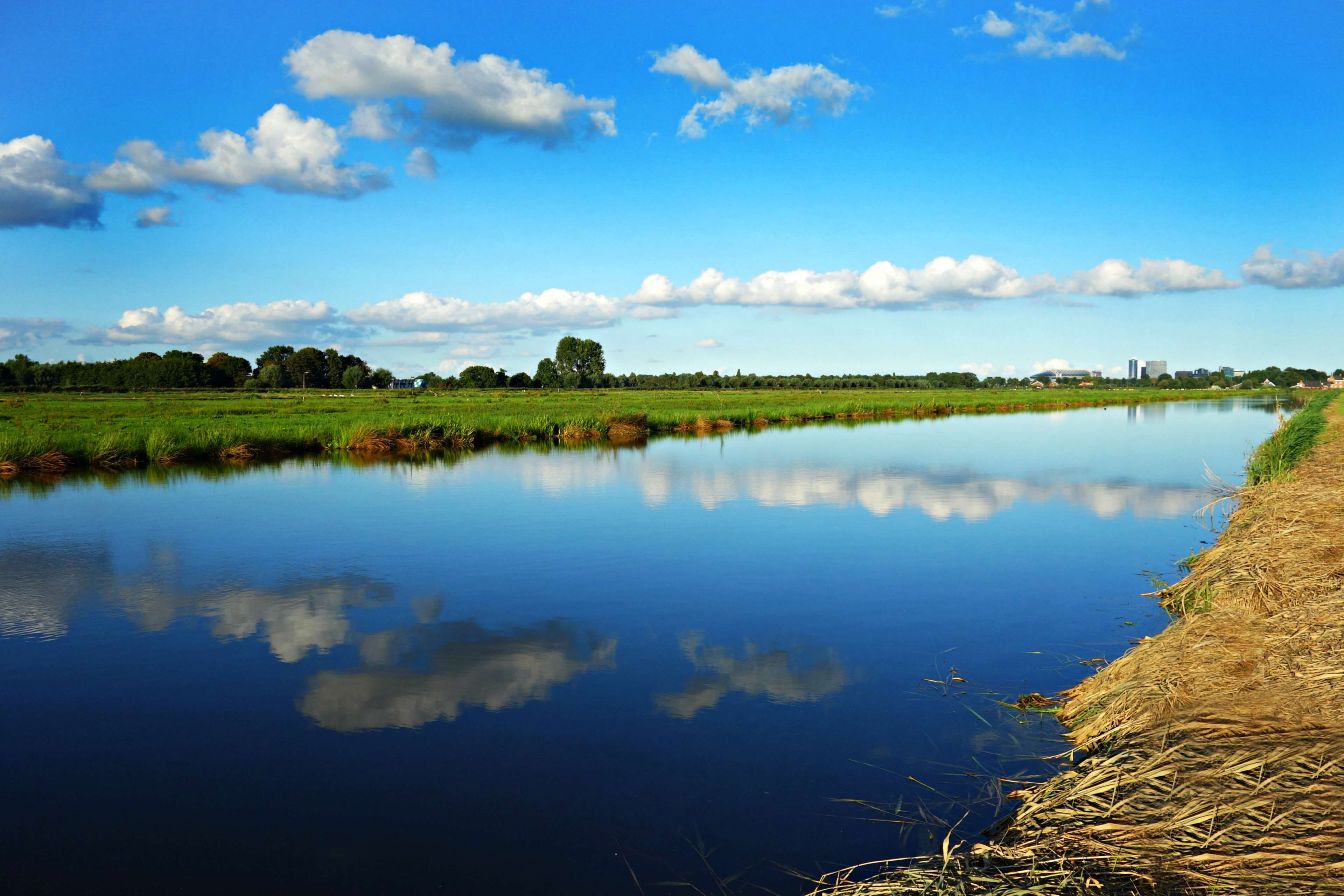 clouds, dutch landscape, green, holland, meadow, polder, reflections
