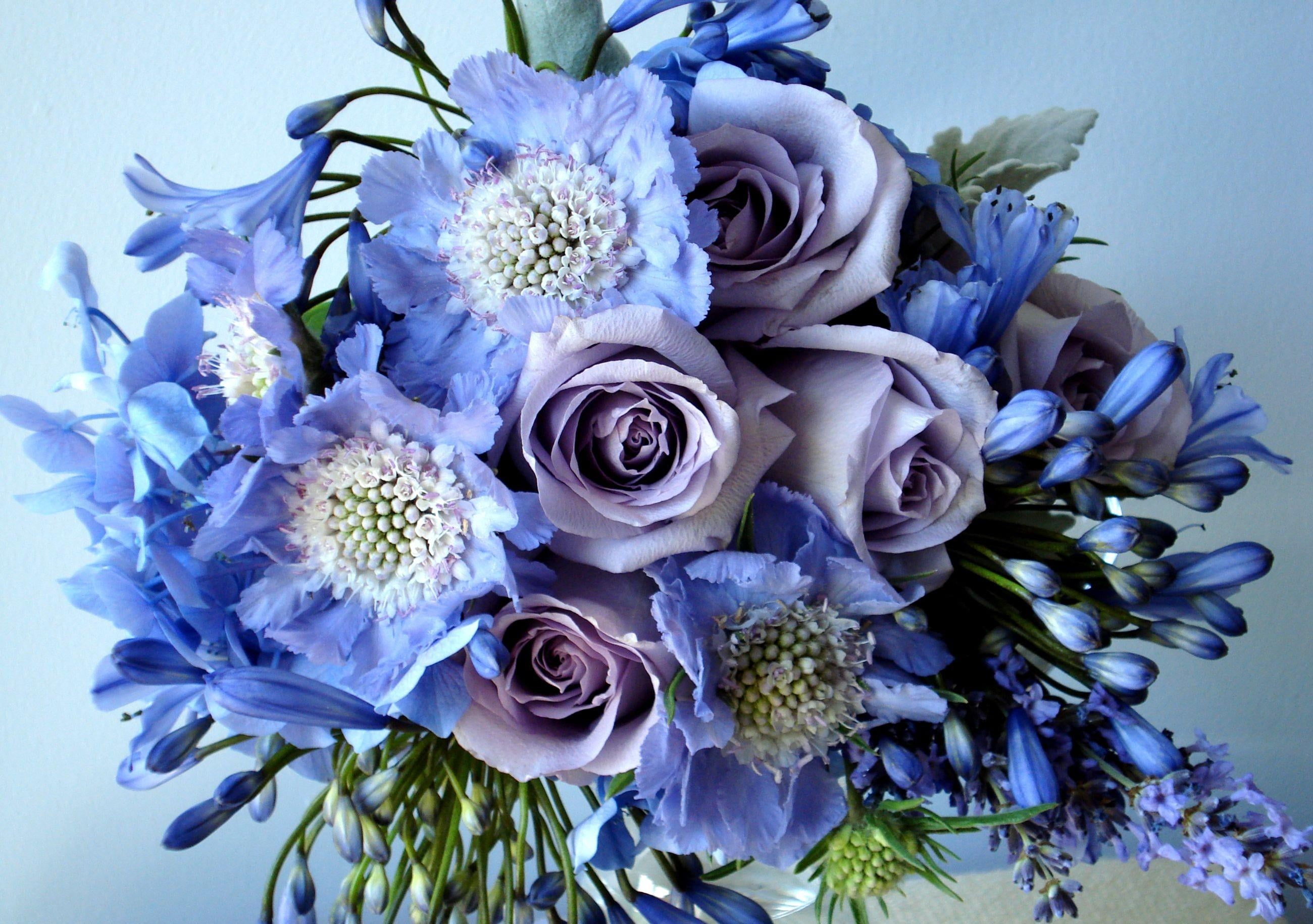 blue and purple flowers, roses, agapanthus, bouquet, decoration