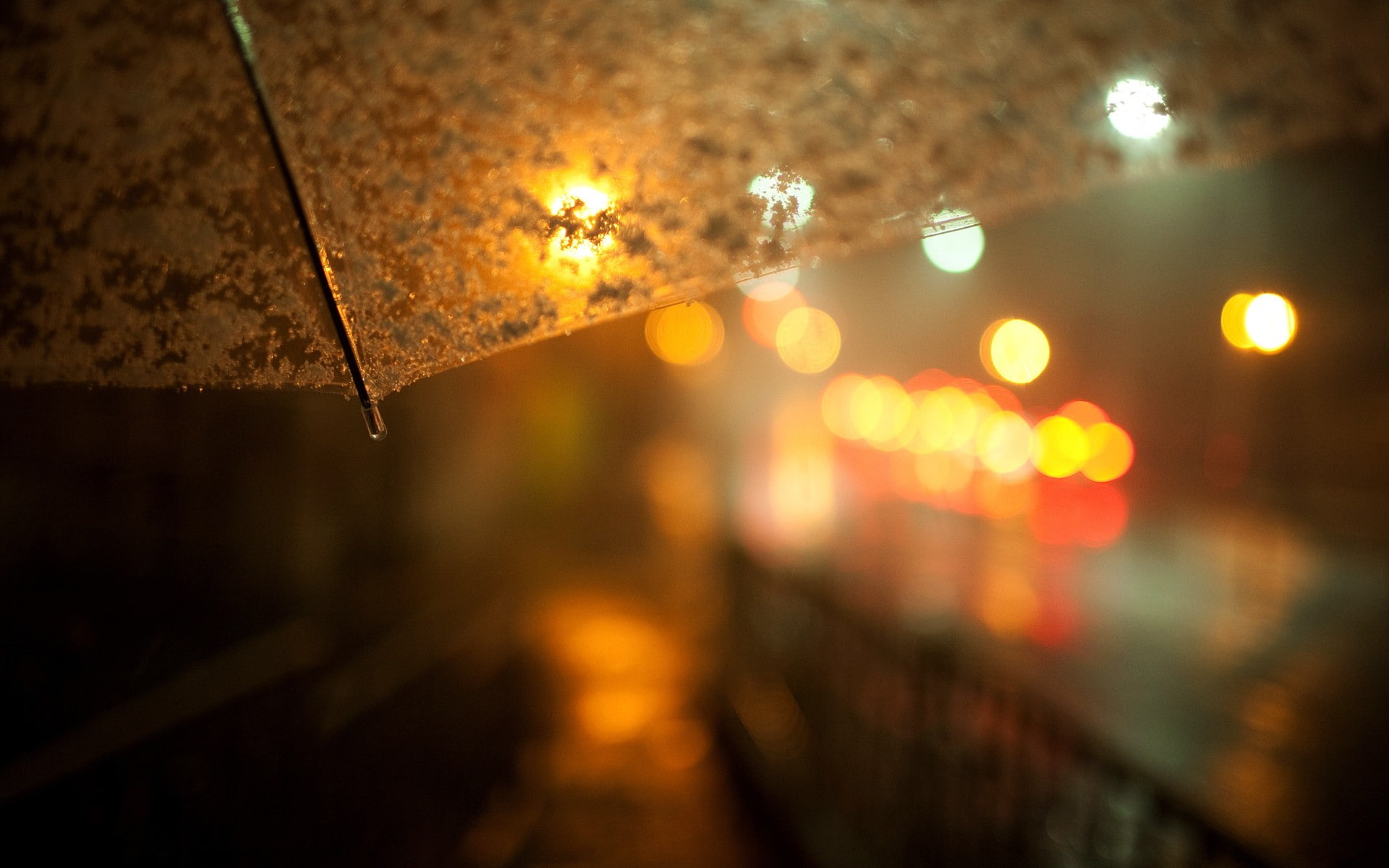 dark, depth of field, umbrella, night, bokeh, rain, blurred