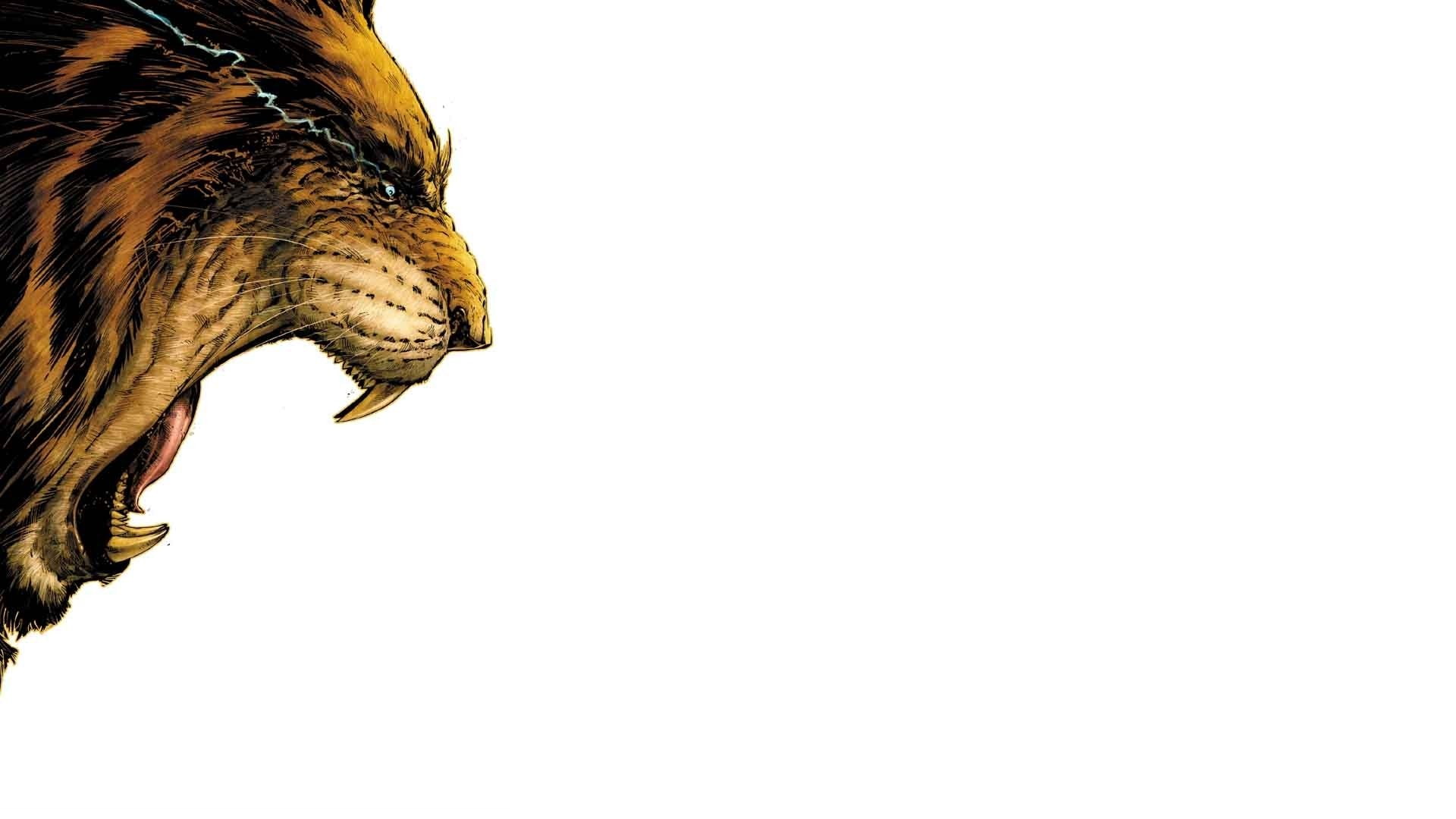 Comics, Batwing