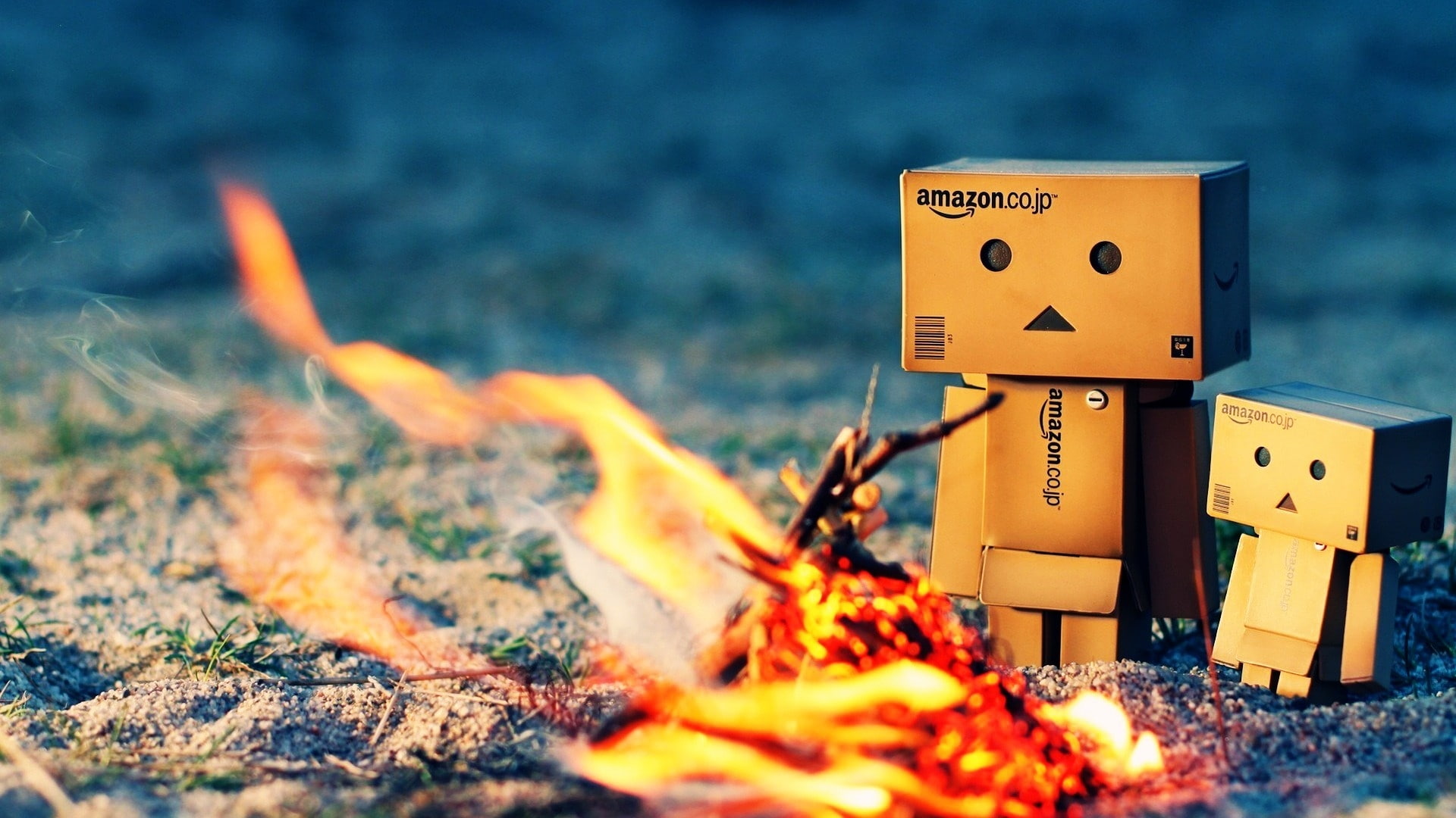 danboard