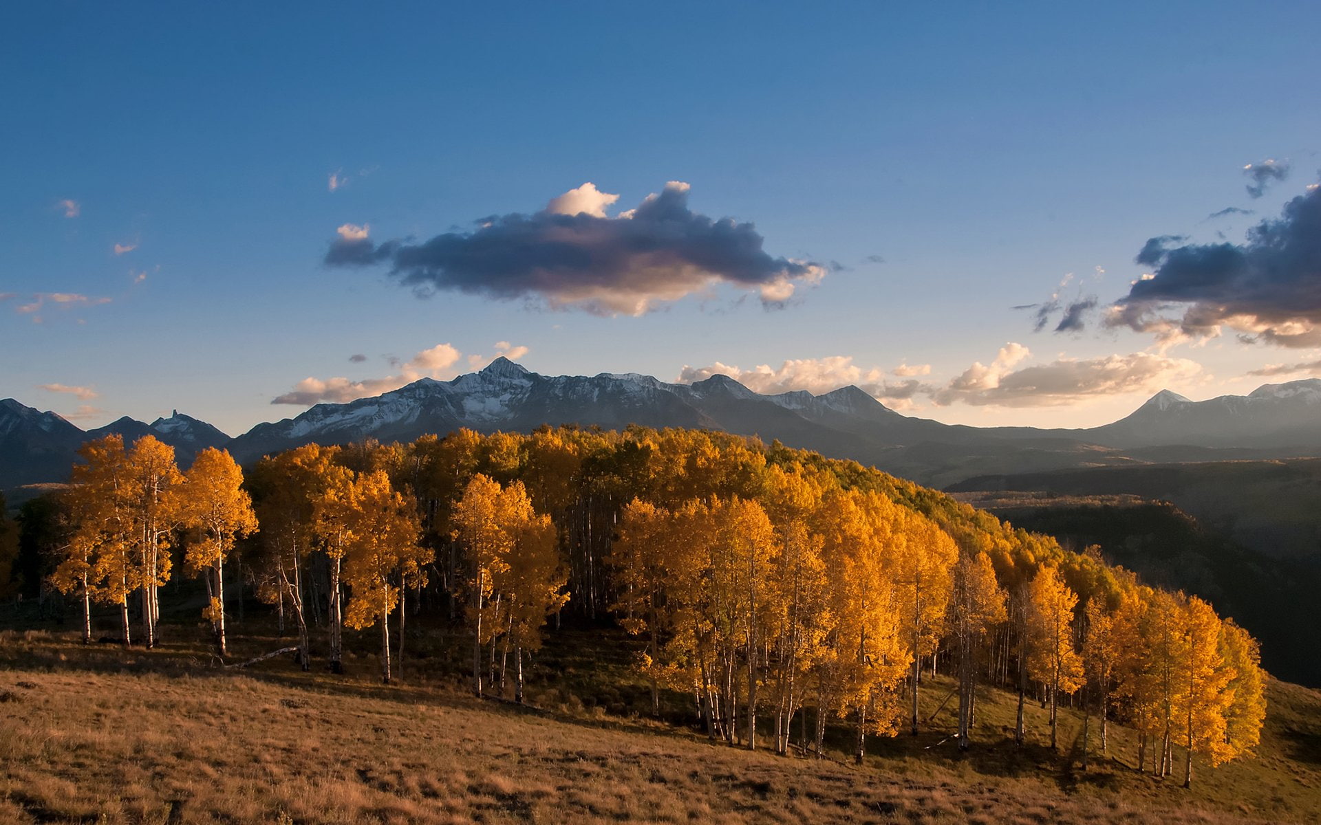 Trees, Cloud, Earth, Fall, Mountain, Nature, Sky, Yellow