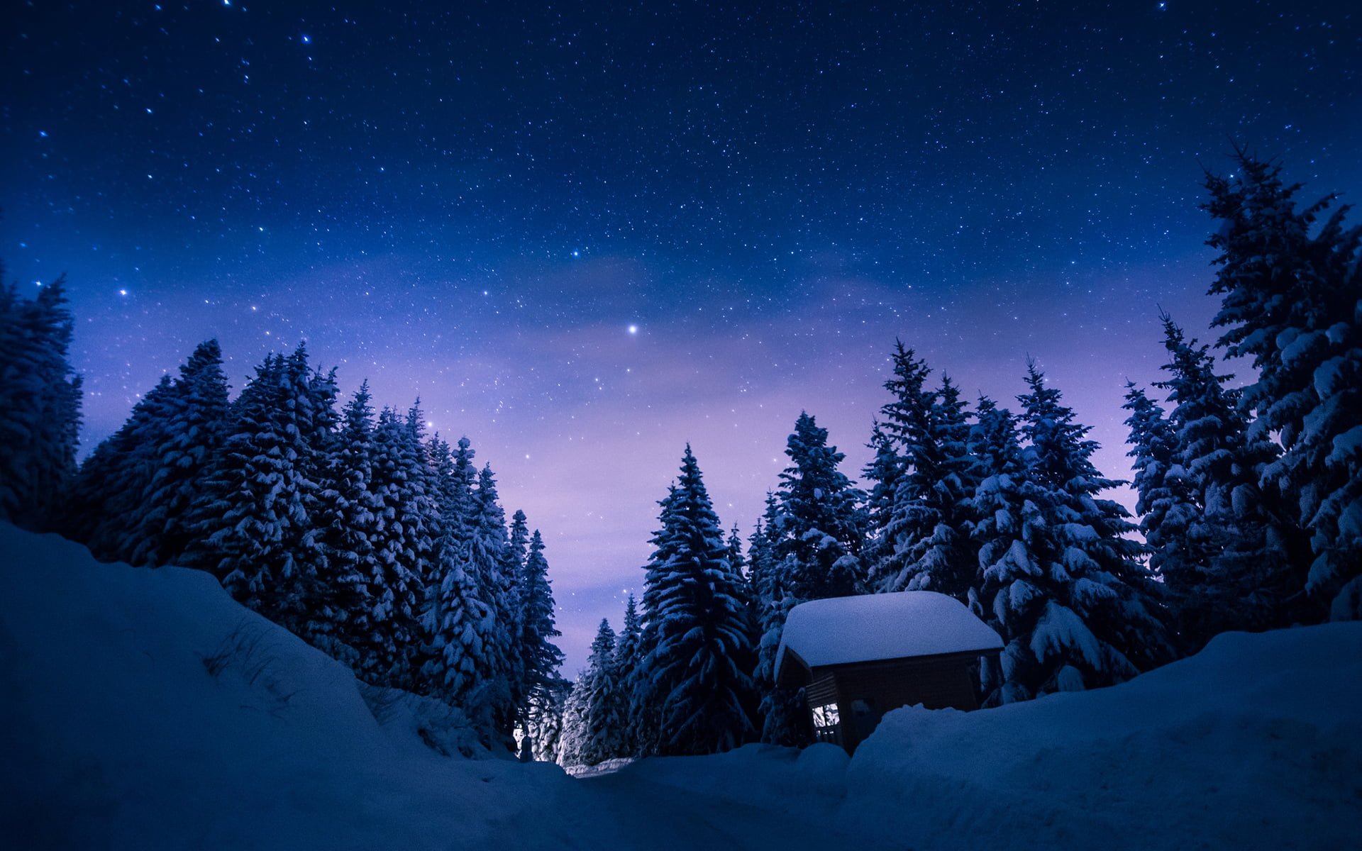 pine trees, nature, winter, snow, night, stars, forest, cabin