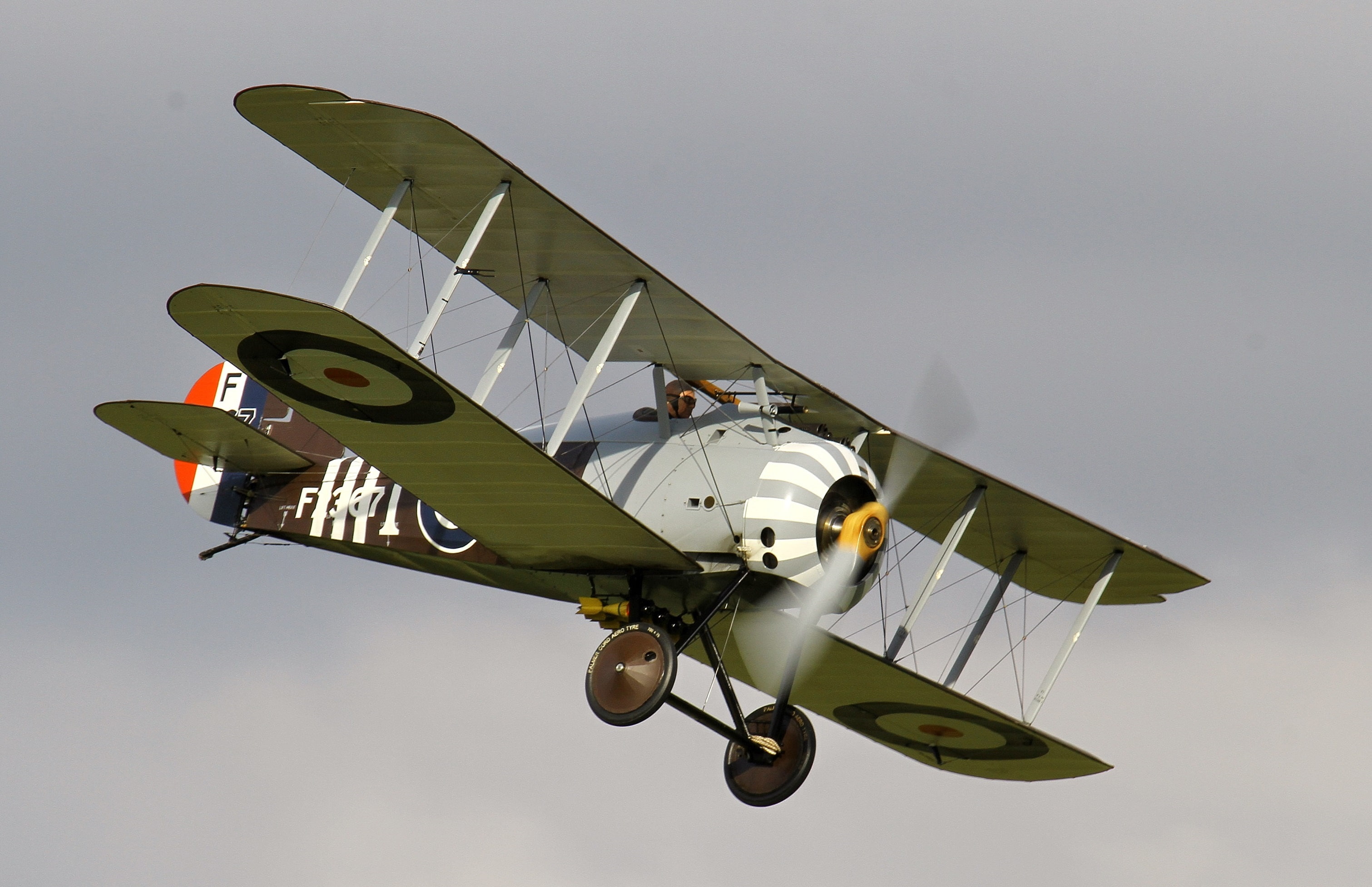 fighter, British, single, The first world war, times, replica