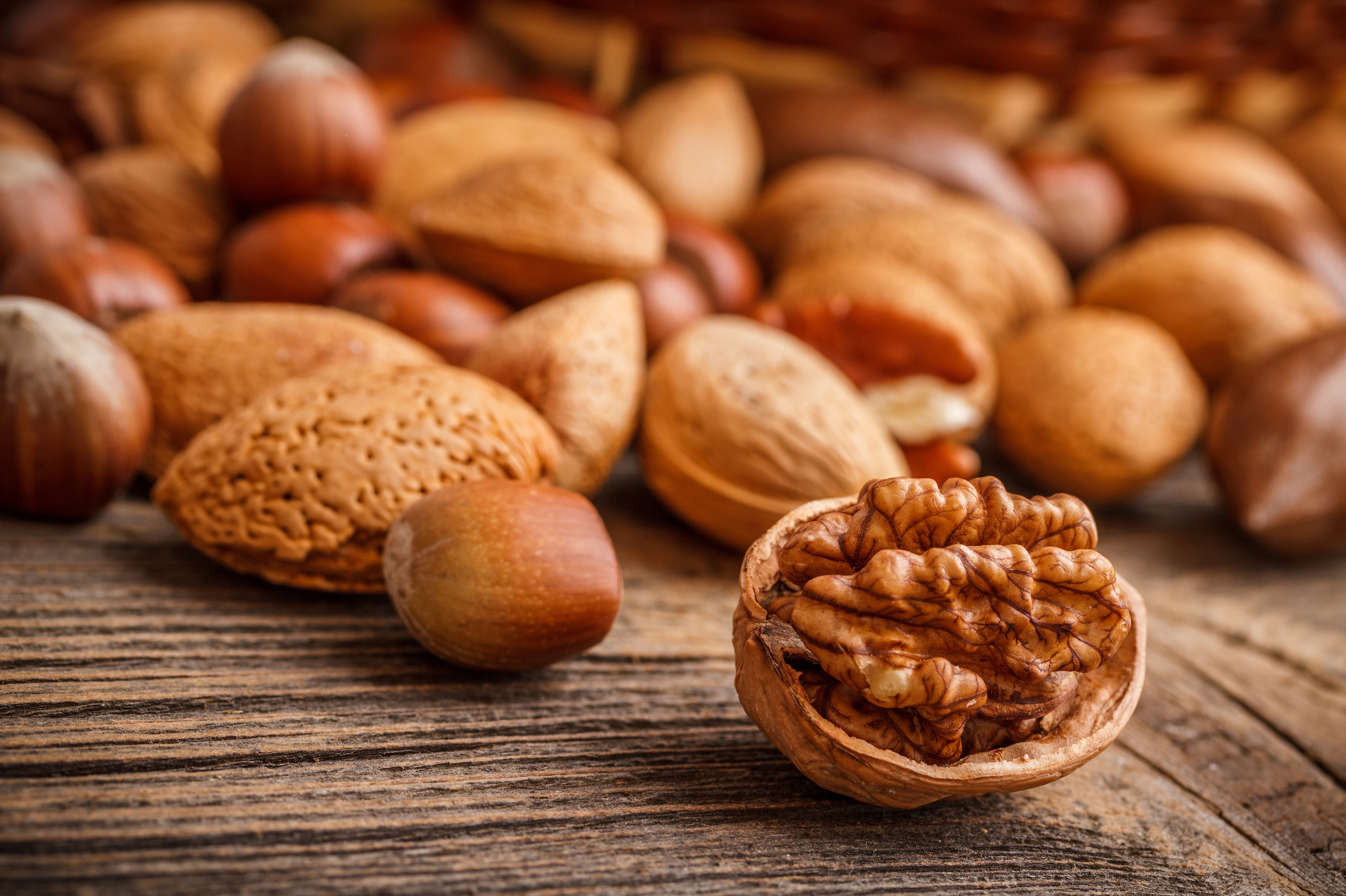 wallnut and almond lot, nuts, shell, almonds, forest, walnut