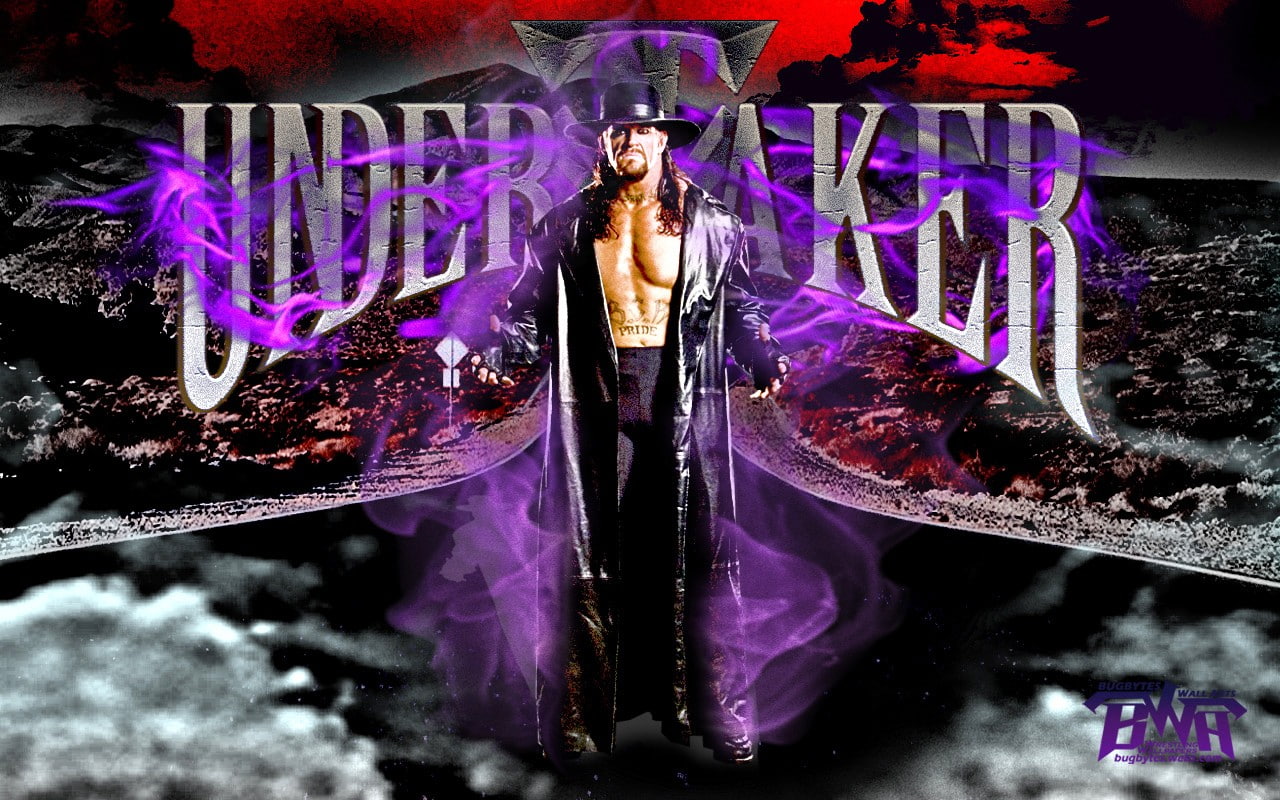 The Undertaker, WWE, wrestling, one person, front view, standing
