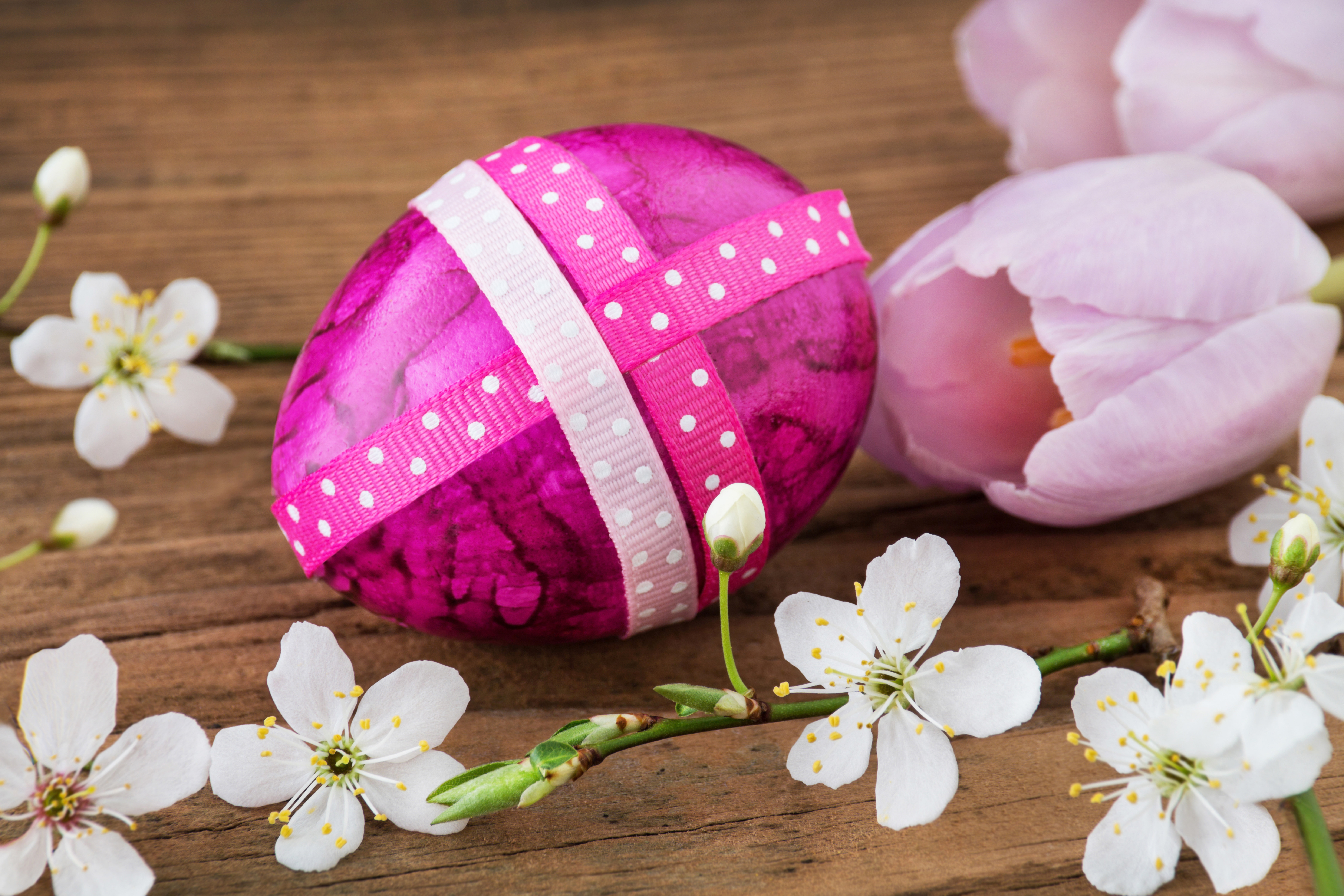 eggs, Easter, Easter eggs, happy easter