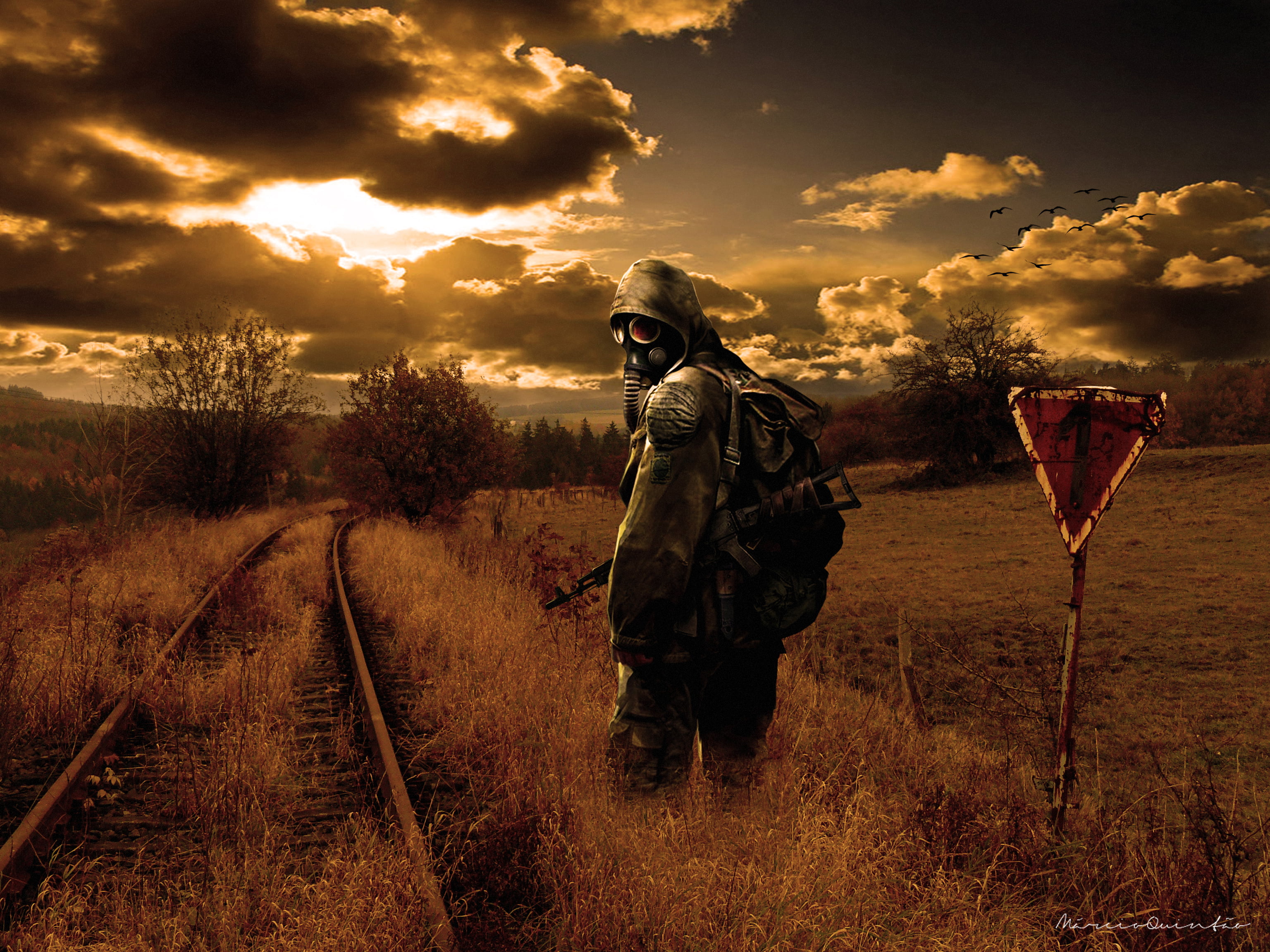 man wearing coveralls, the sun, sunset, nature, the evening, Stalker
