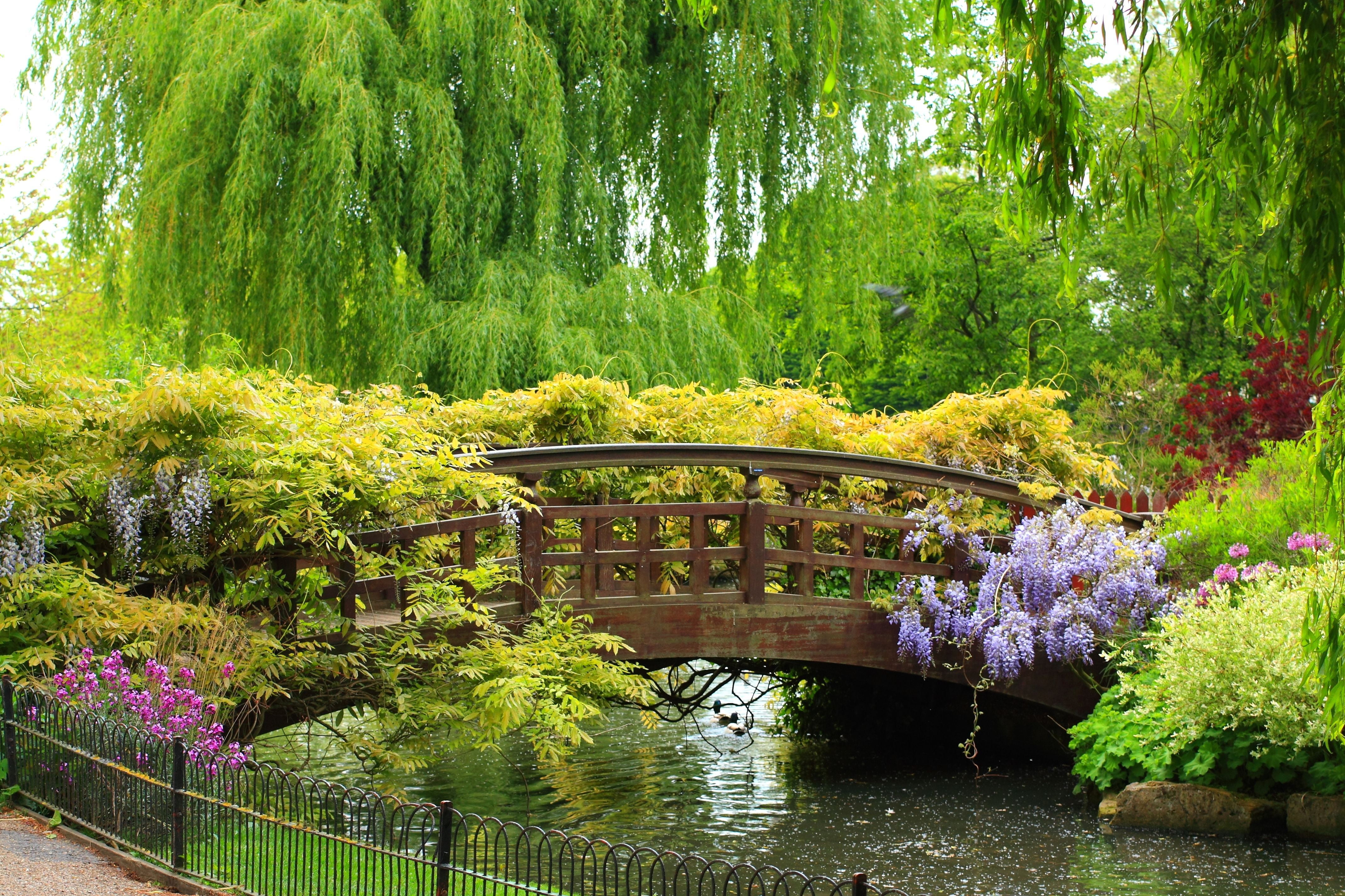 brown wooden bridge, trees, flowers, Park, beauty, plants, fence