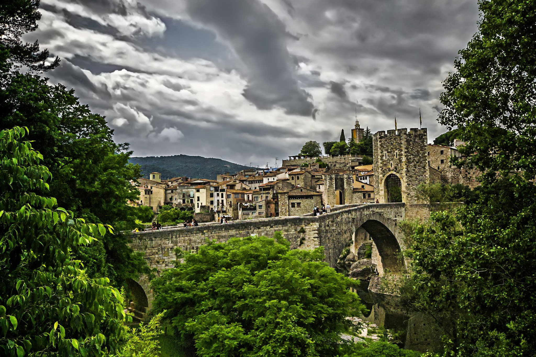 bridge, architecture, built structure, building exterior, tree