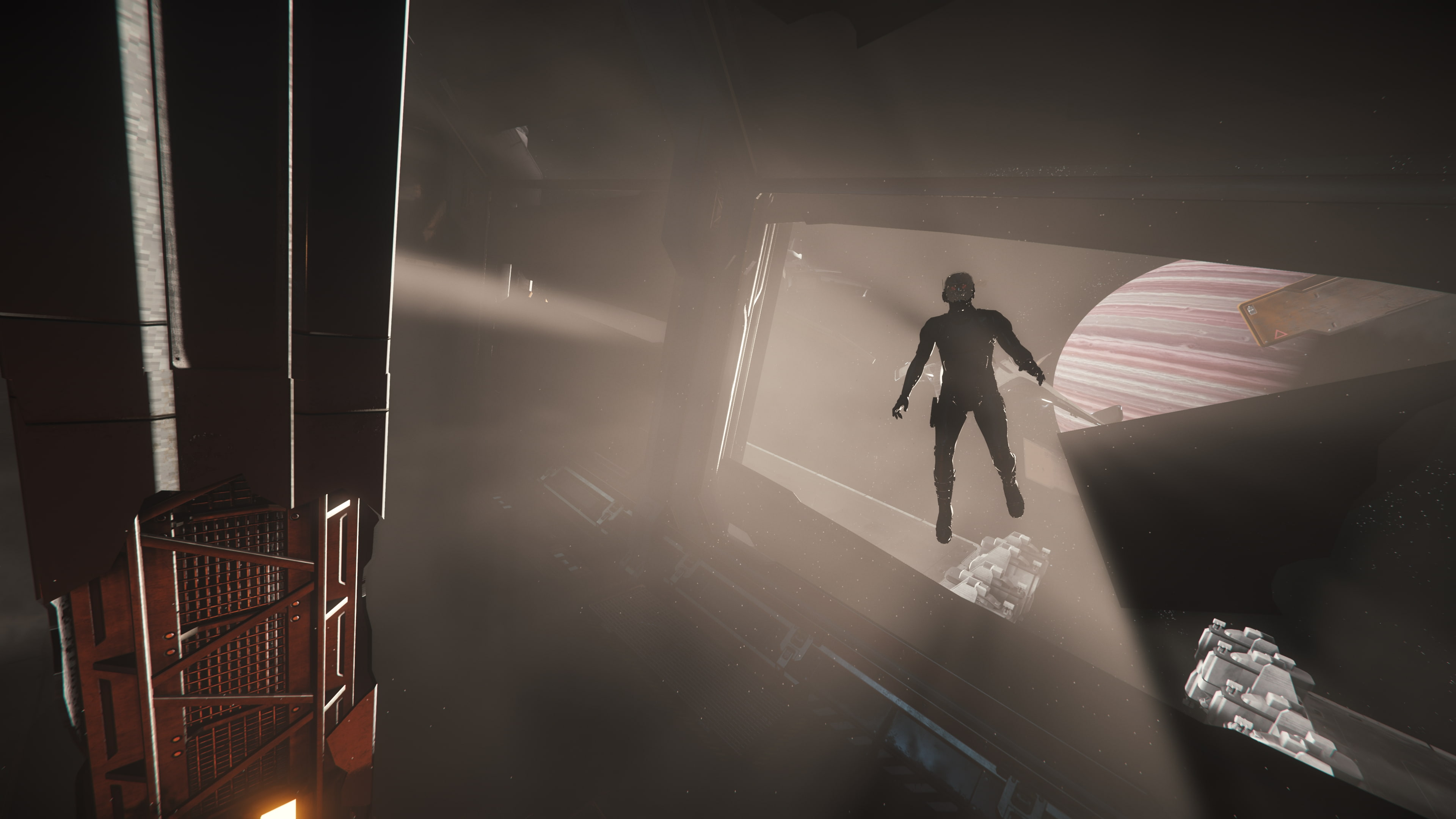 Video Game, Star Citizen