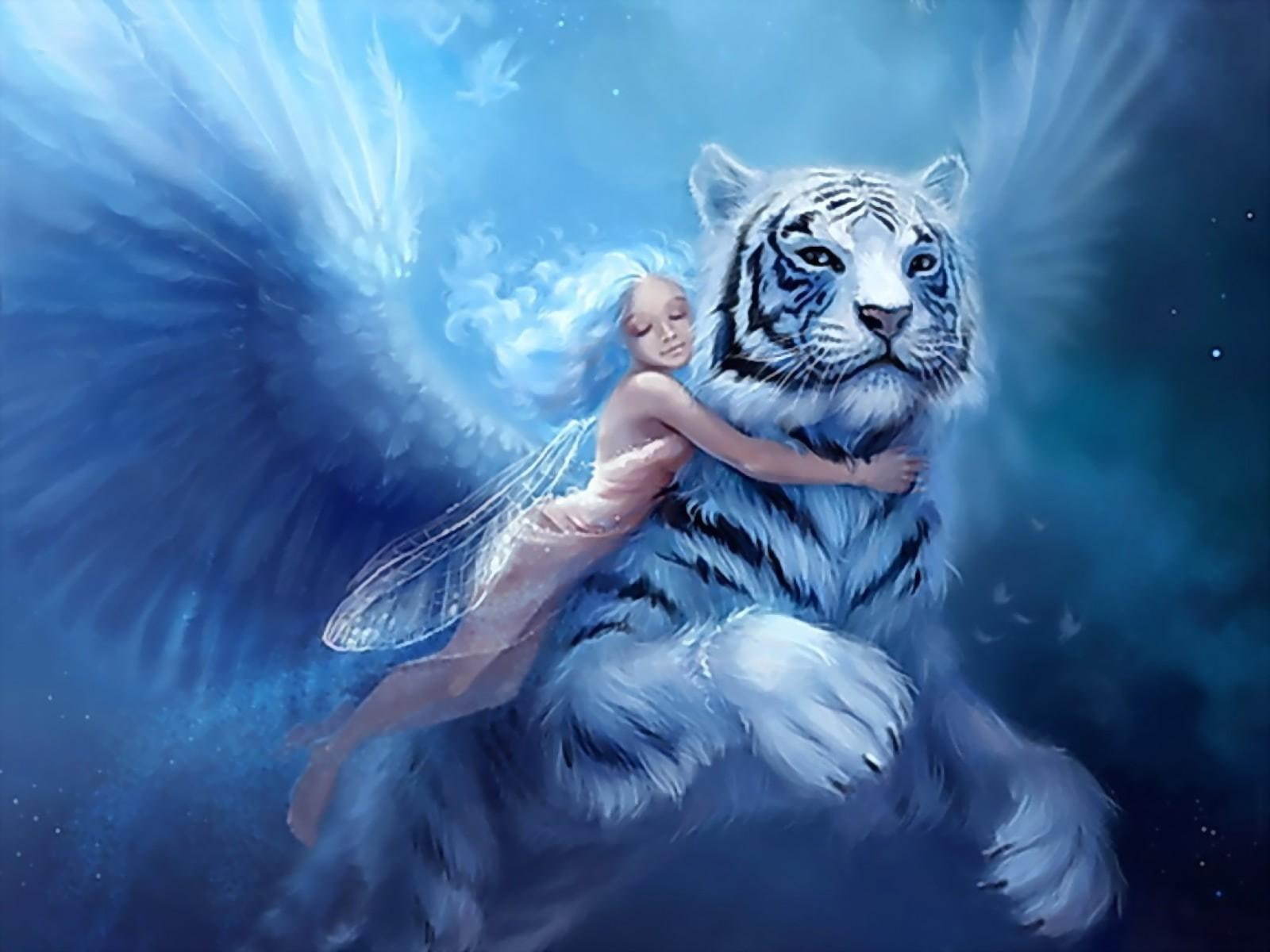 fairy