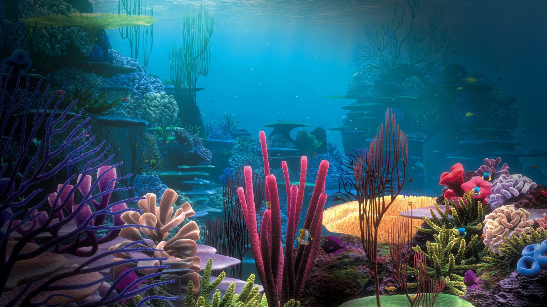 Finding Nemo