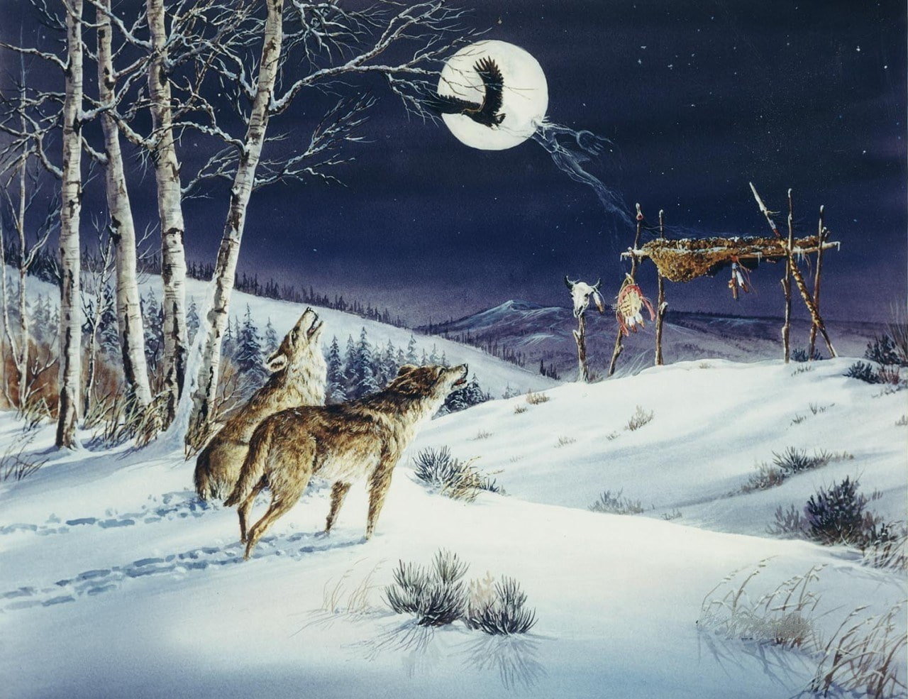 wolf, cold temperature, snow, winter, tree, scenics - nature