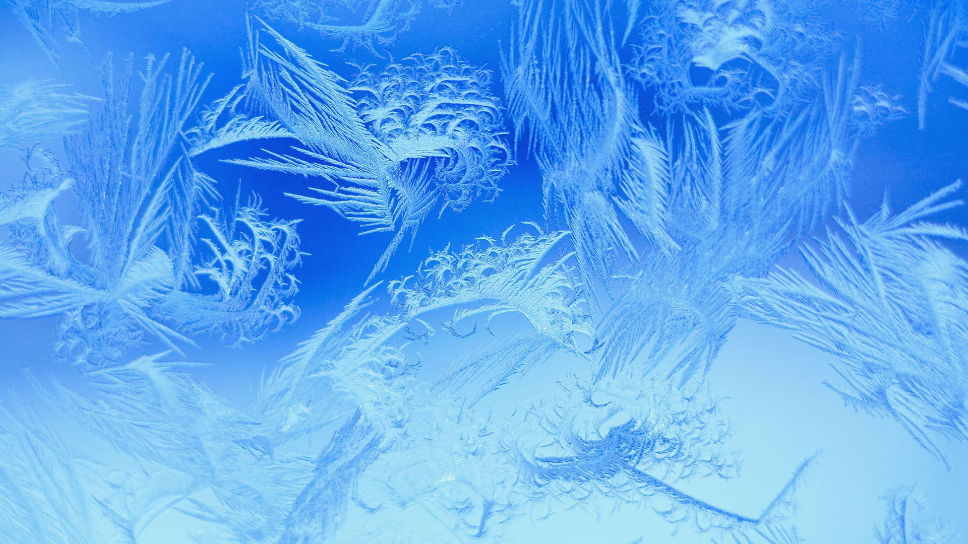 snowflake background  for computer, cold temperature, winter
