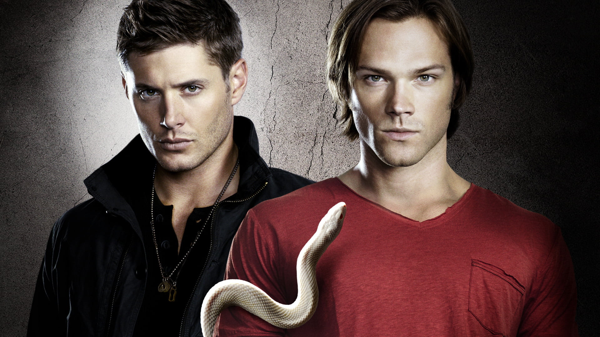 Supernatural digital wallpaper, snake, the series, Sam, Dean