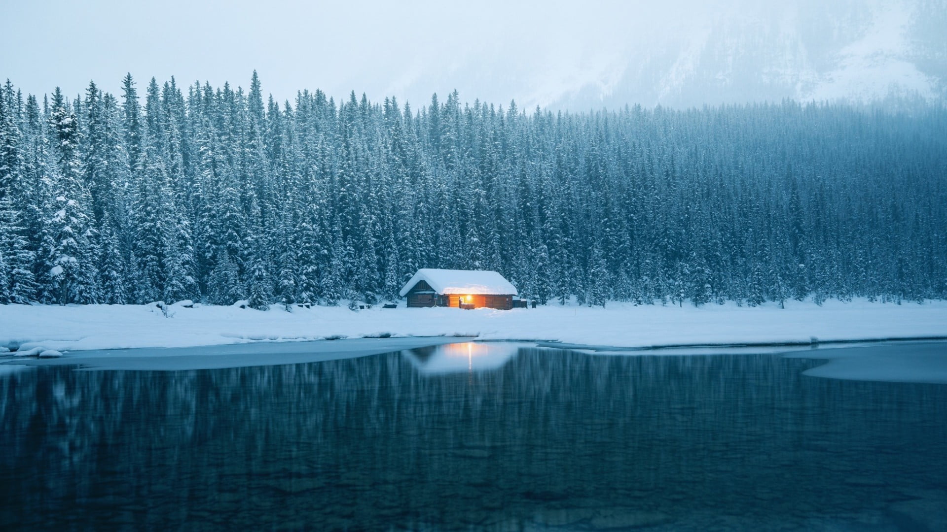 brown wooden house, winter, snow, ice, lake, trees, cabin, cold temperature