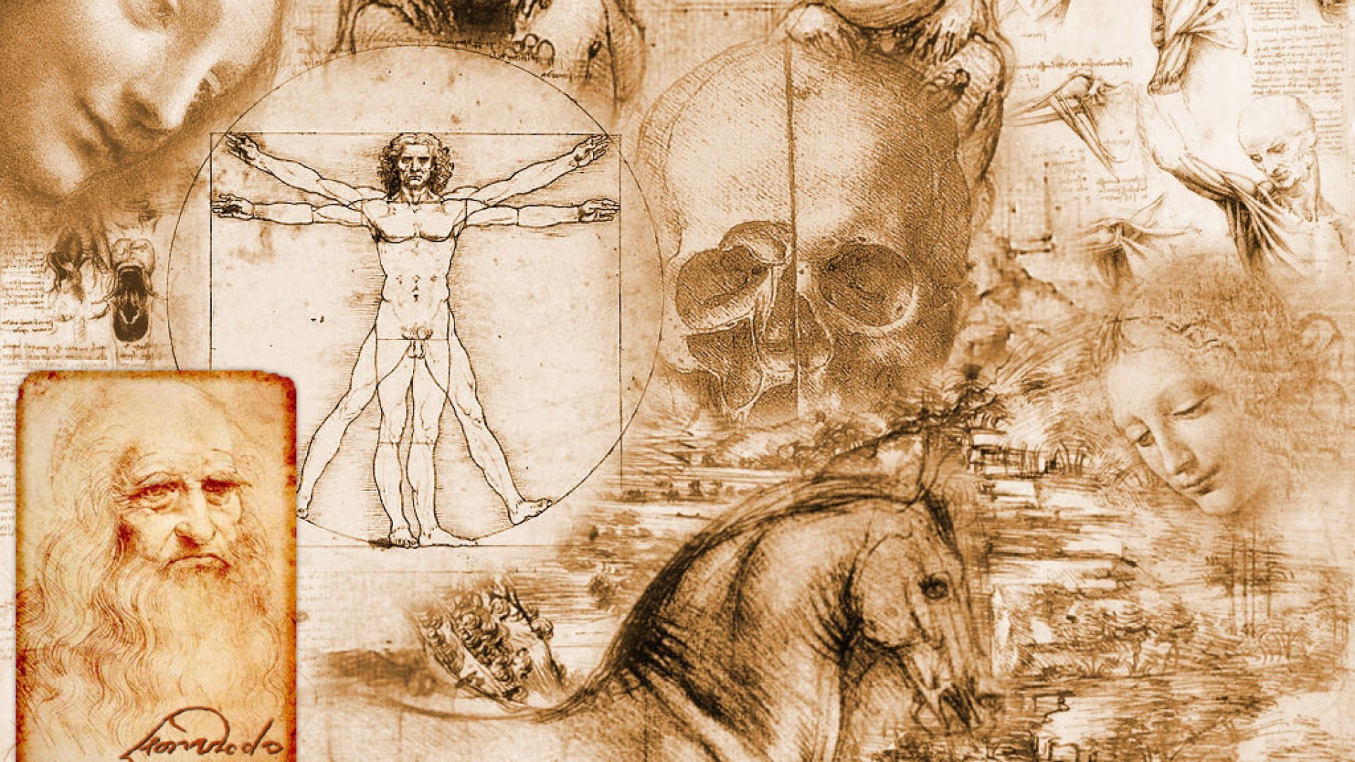 history icon wallpaper, Leonardo da Vinci, Vitruvian Man, artwork