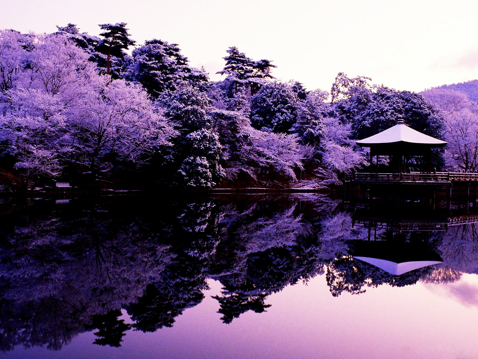 Reflection HD, photography