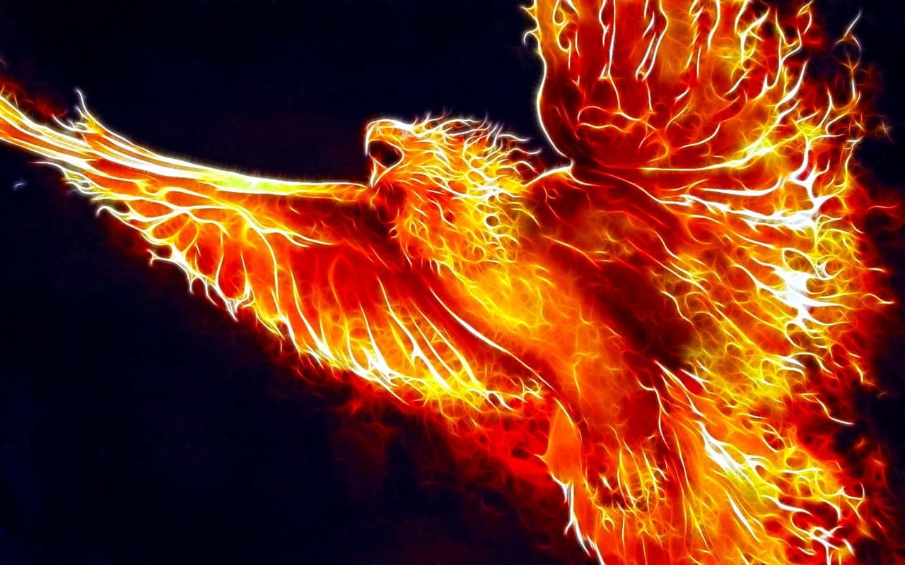 phoenix illustration, birds, Fractalius, digital art, motion