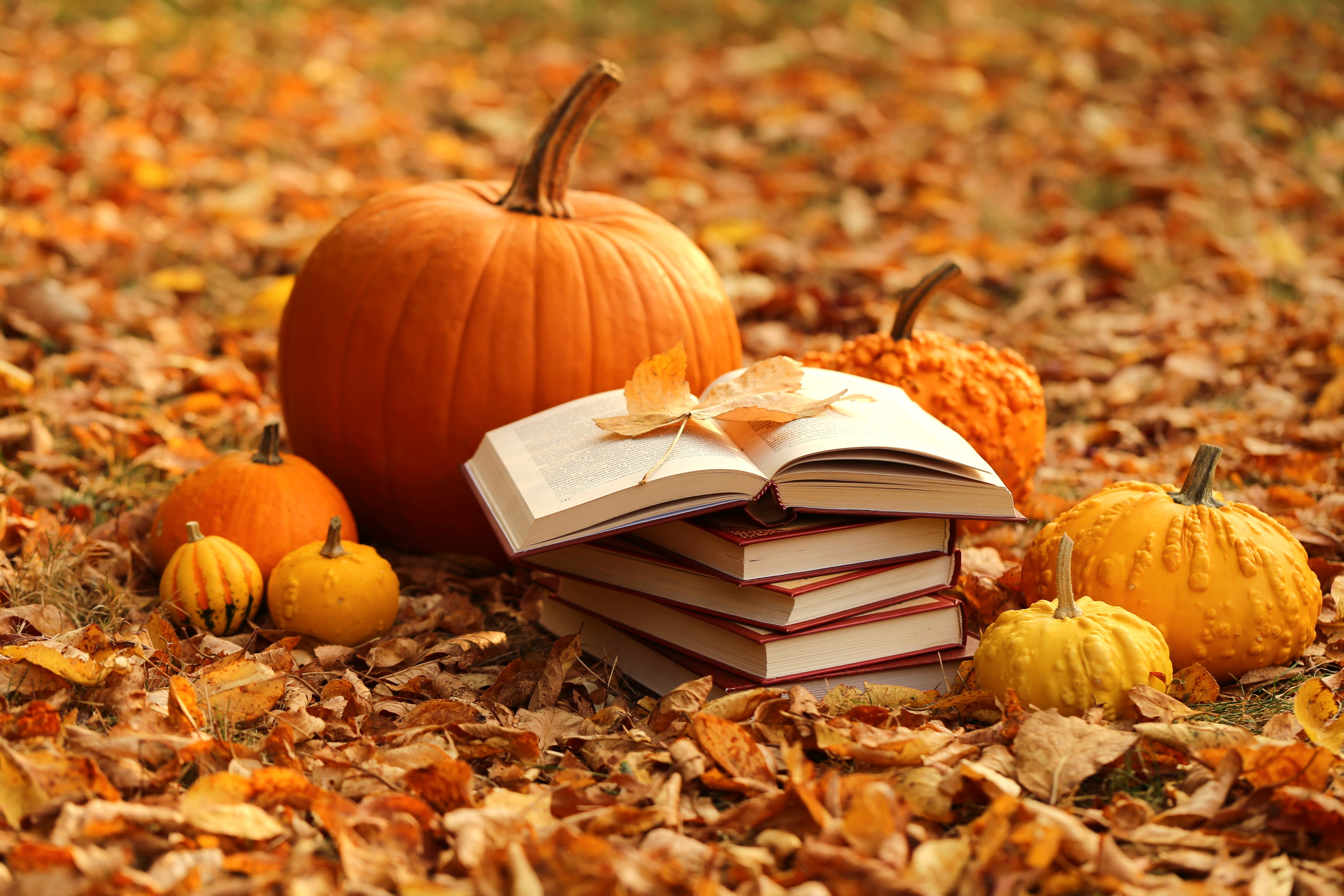 autumn, leaves, books, harvest, pumpkin, yellow