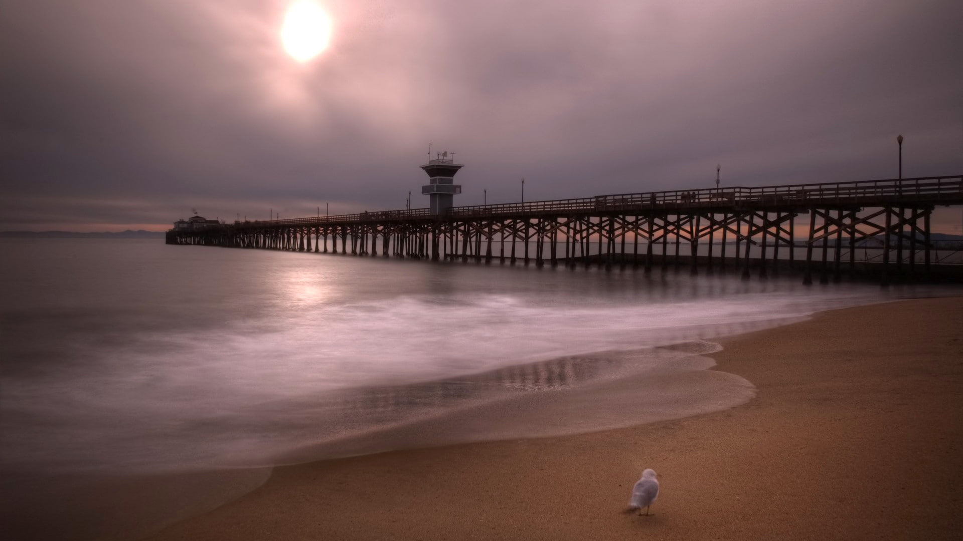 sea, the sky, clouds, bird, hdr, pierce, USA, California, Orange County