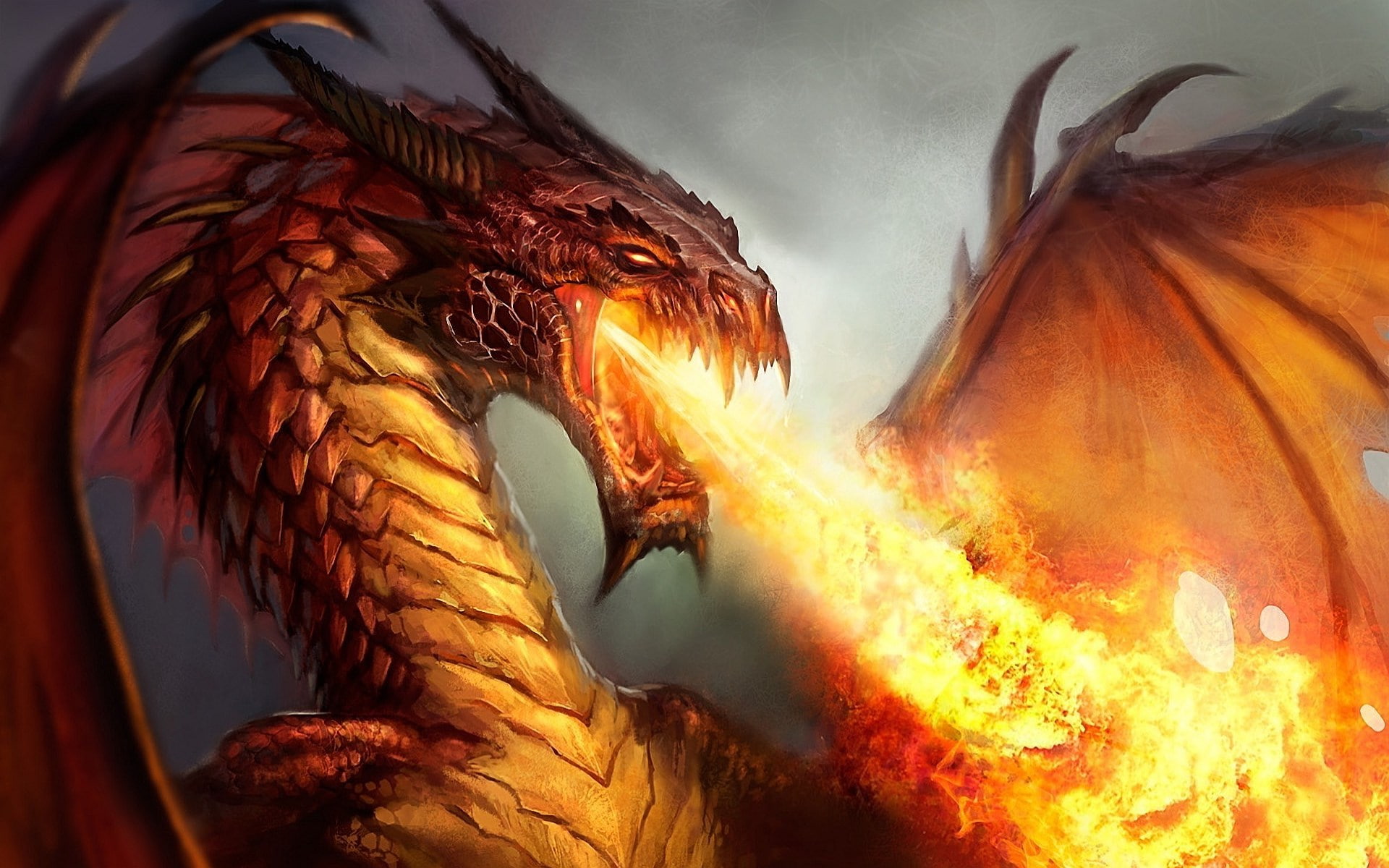 dragon