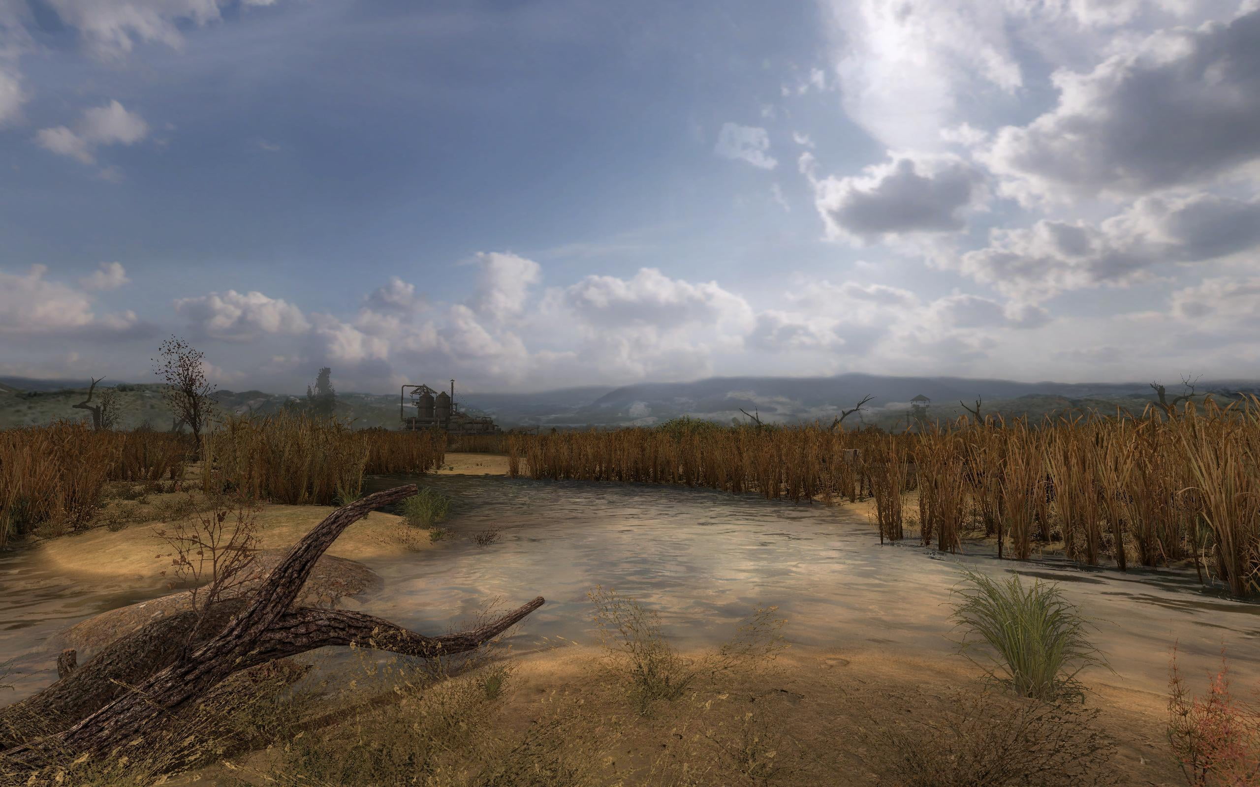swamp, Stalker, Clear Sky, S. T. A. L. K. E. R., Clear skies