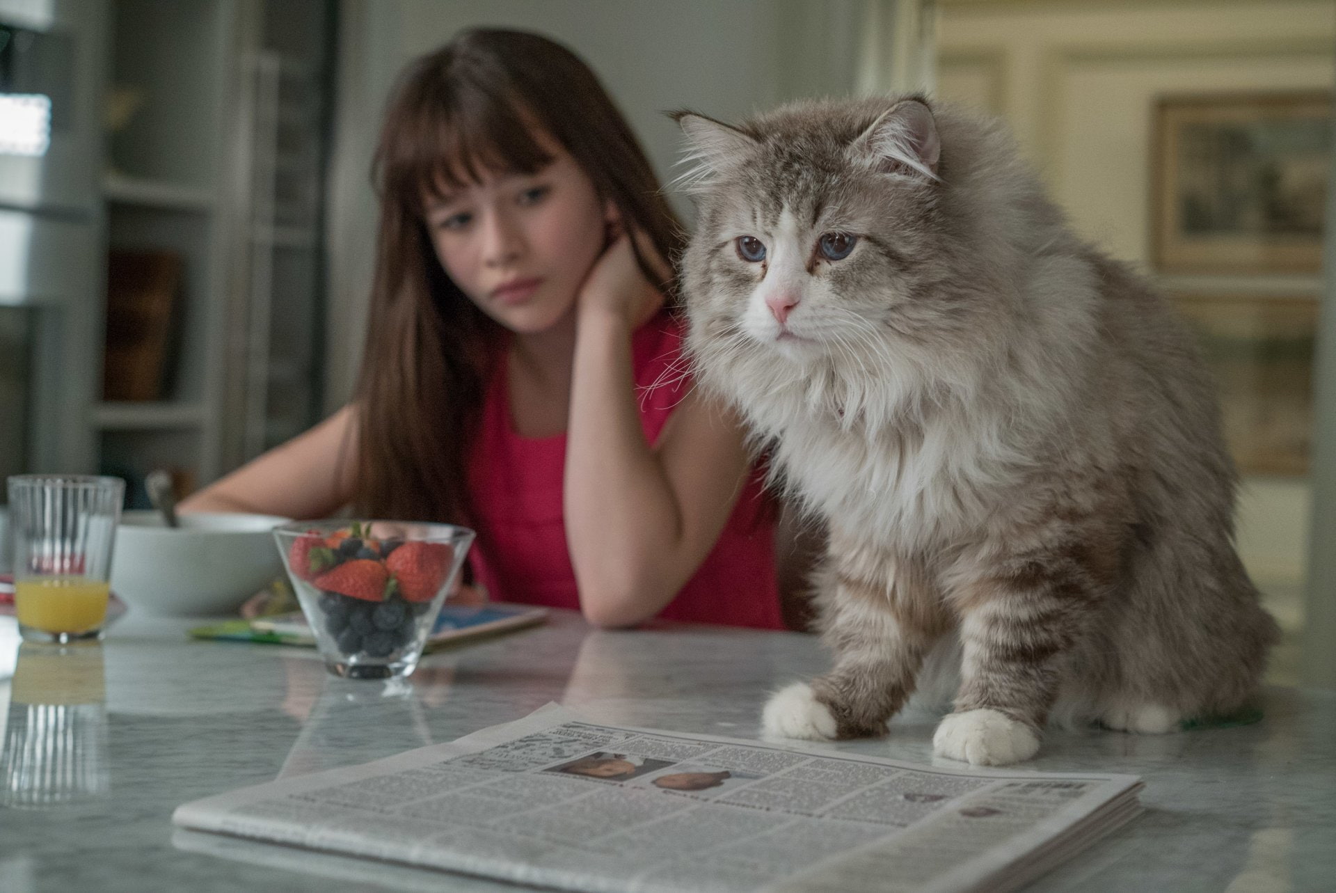 Movie, Nine Lives, Malina Weissman