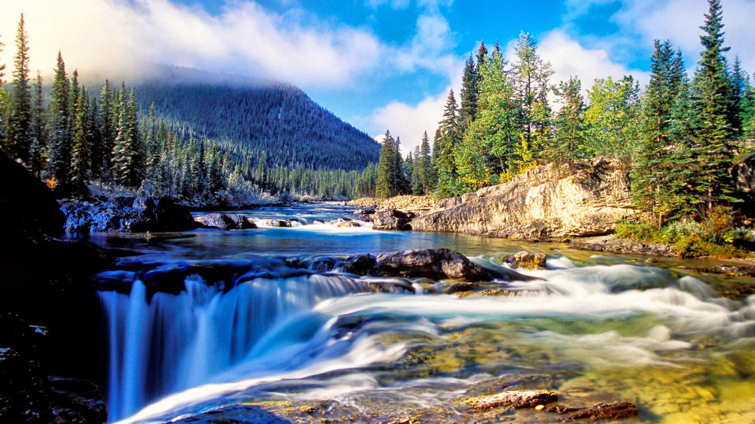 Nature Mountain Dense Spruce Forest, River Rock Waterfall Background