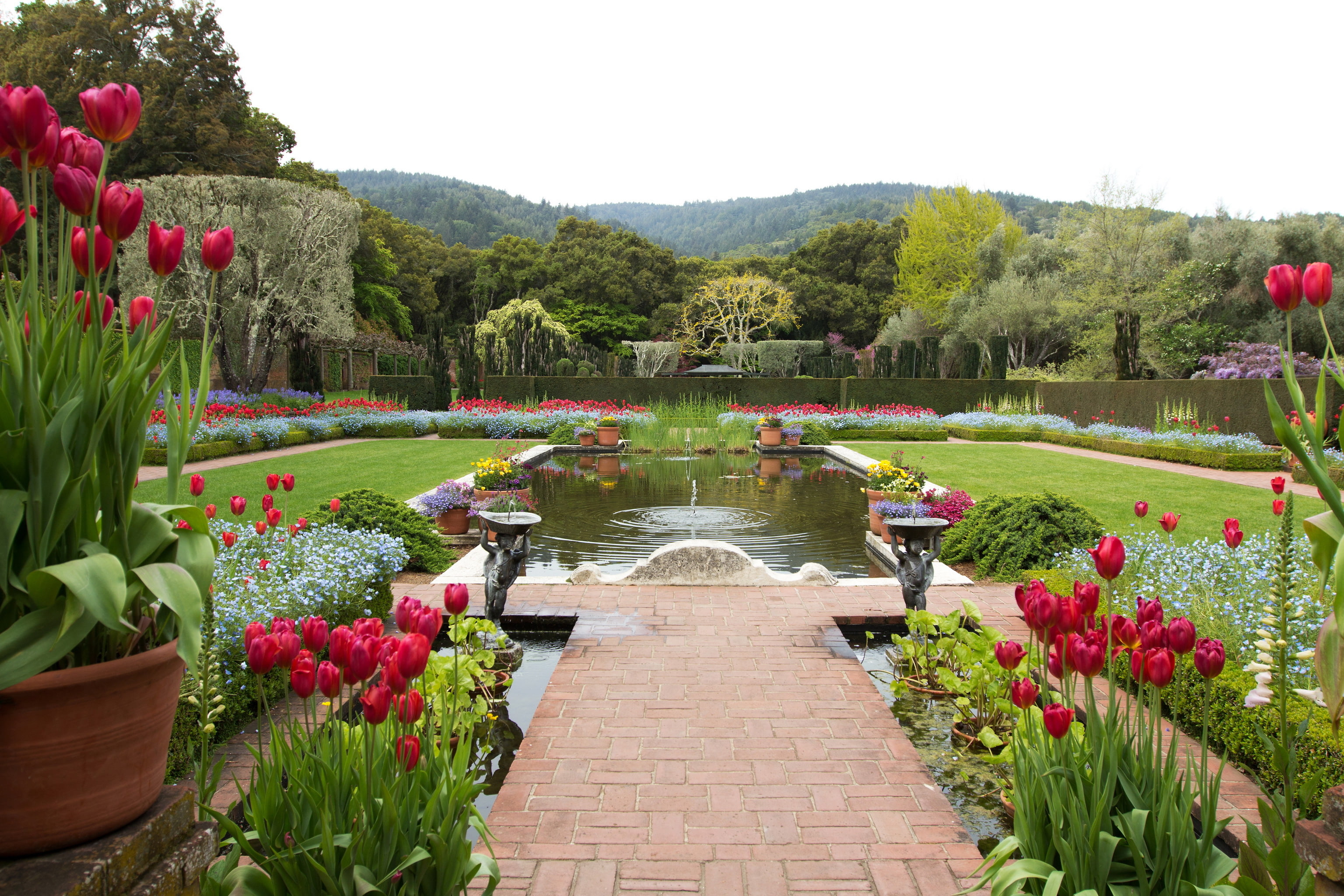 nature, design, pond, photo, landscape, garden, tulips, USA