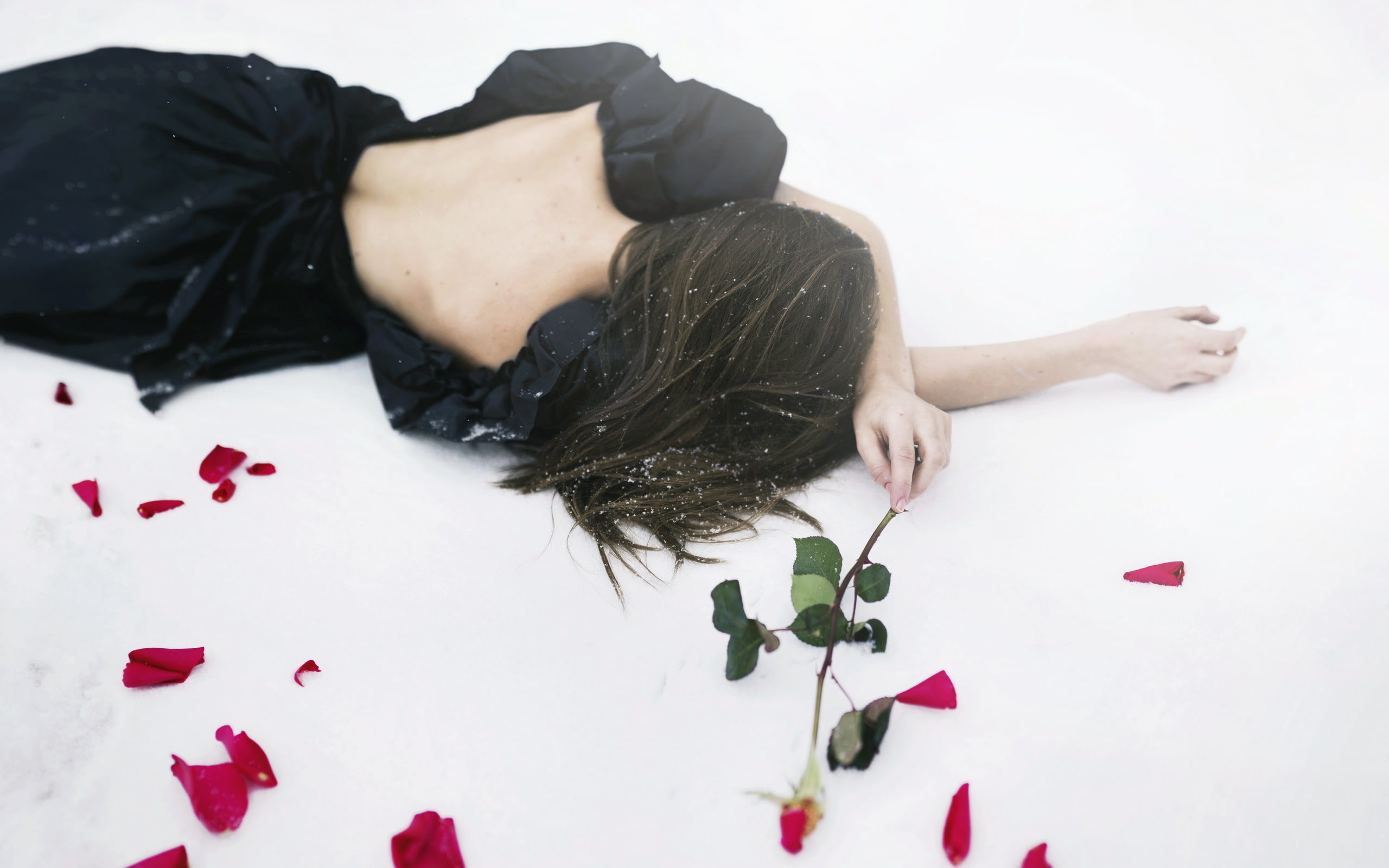 Mood, Petals, Rose, Breakup, Woman, Love failure, lying down