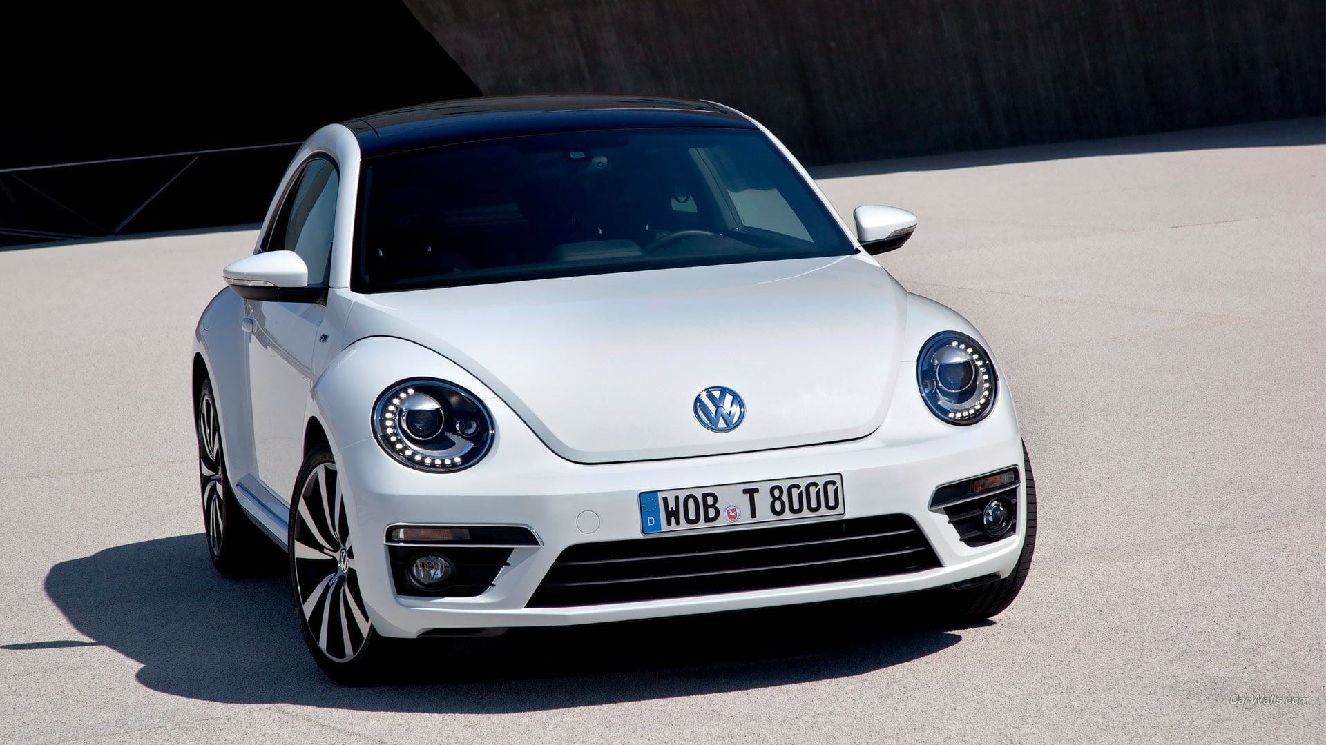 beetle, line