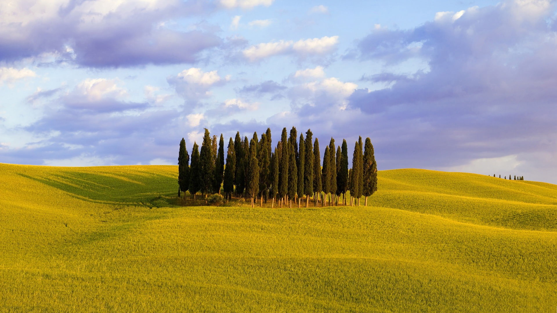 orcia valley italy-Seasons HD Wallpaper, green pine trees, cloud - sky